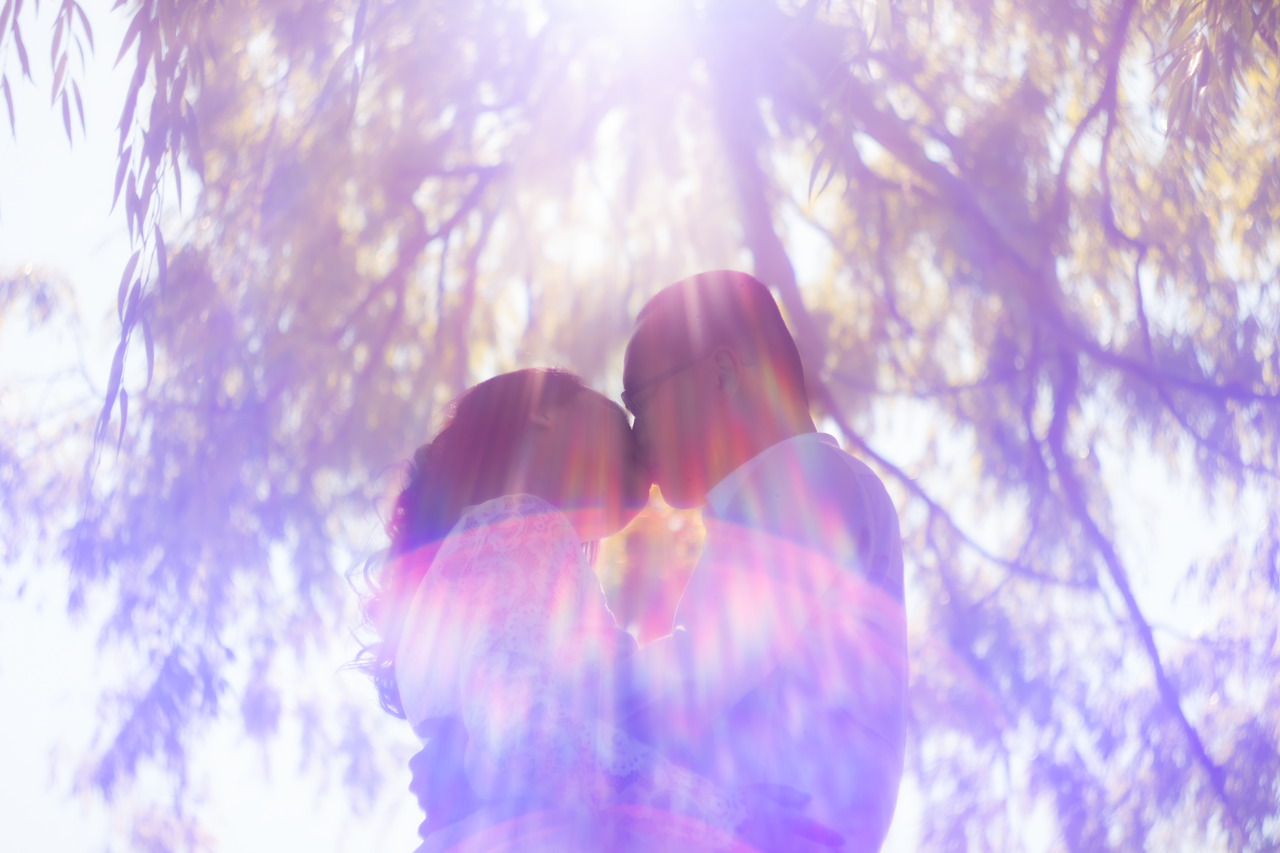 A couple standing close together with their foreheads touching, backlit by sunlight filtering through tree branches, creating a rainbow lens flare effect.