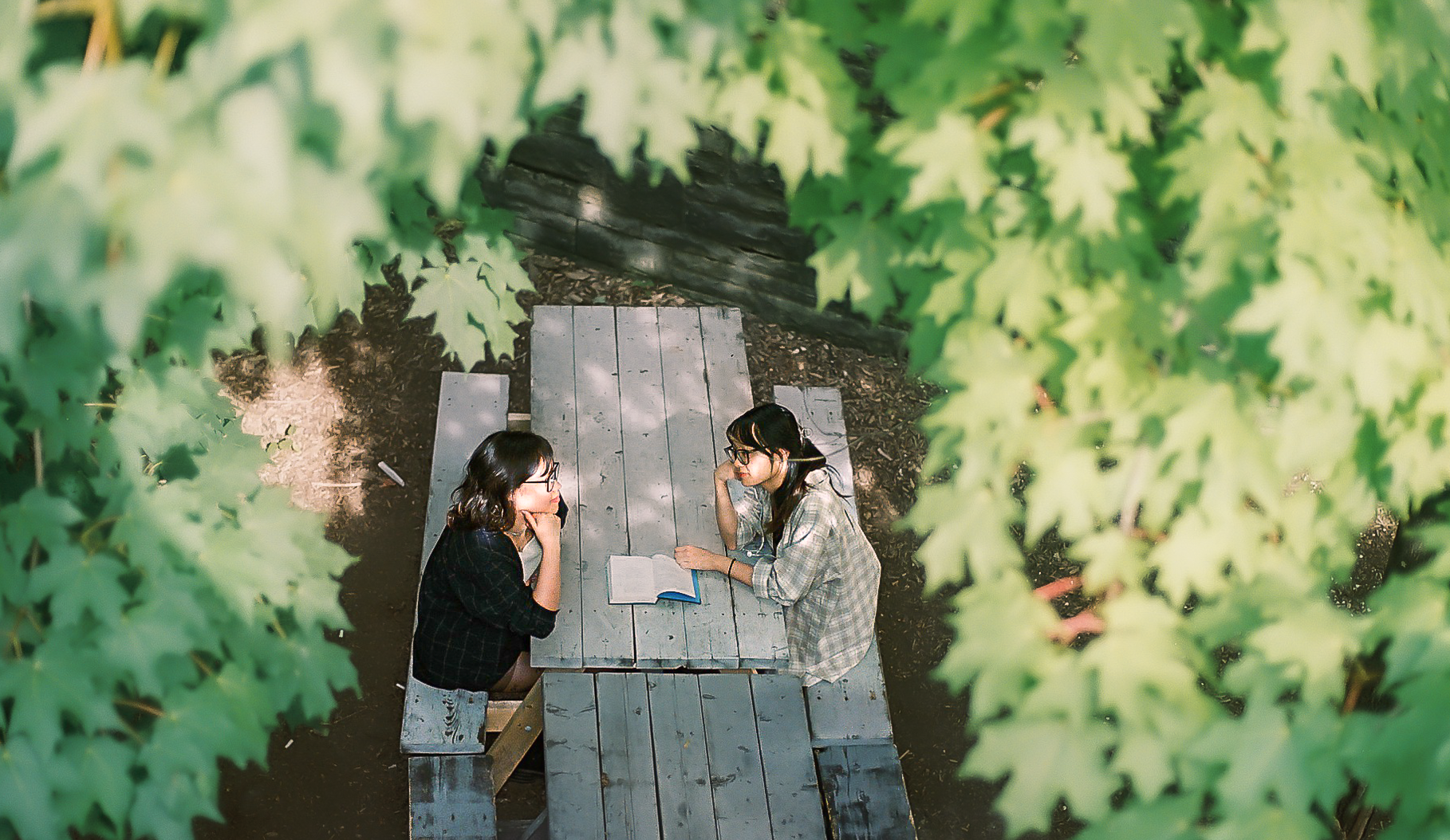 Two women sitting at a picnic table outdoors, surrounded by green leaves, engaging in a conversation with an open book on the table.