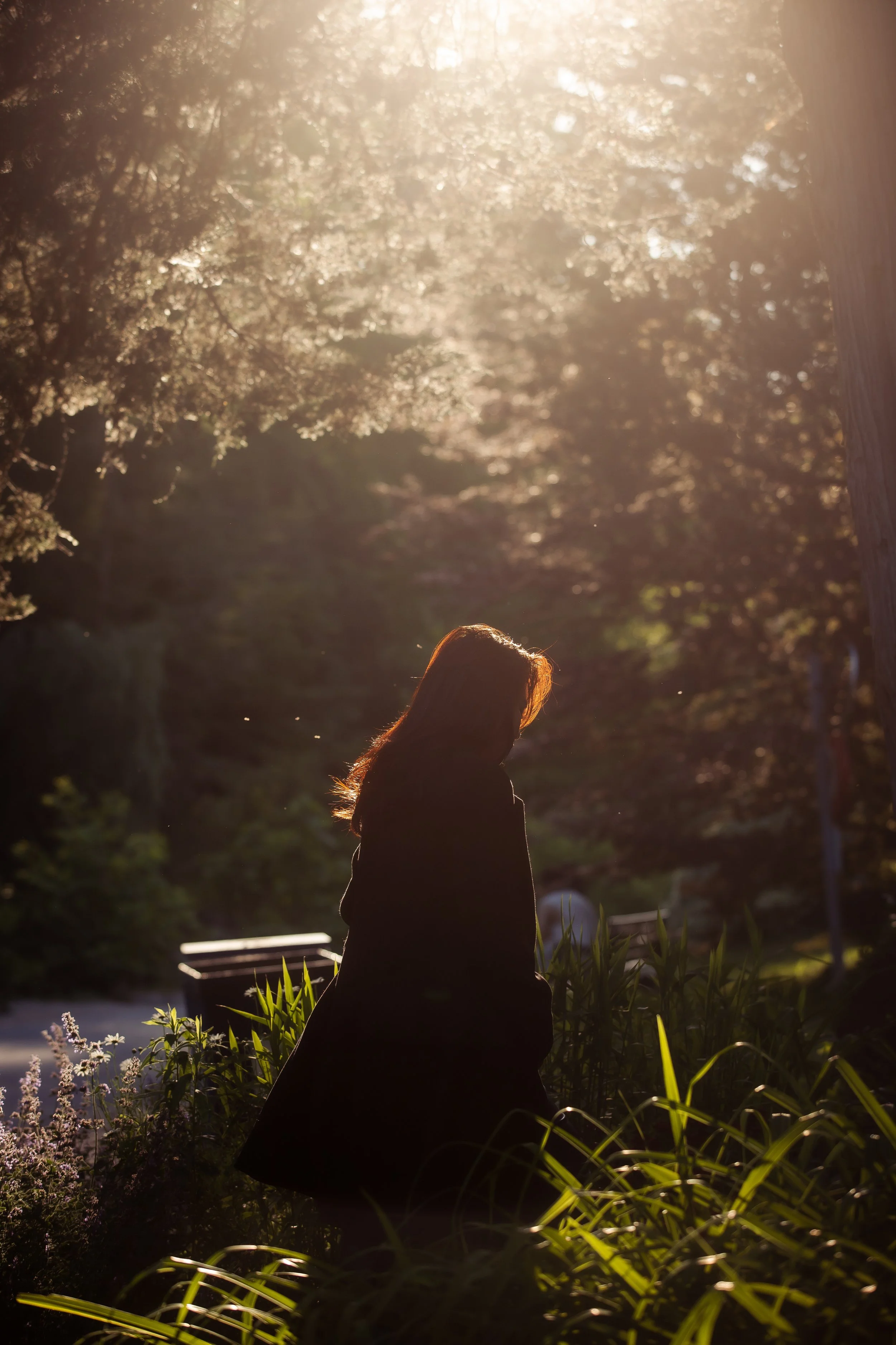 Silhouette of a woman with long hair standing outdoors in a garden at sunset, surrounded by plants and trees.