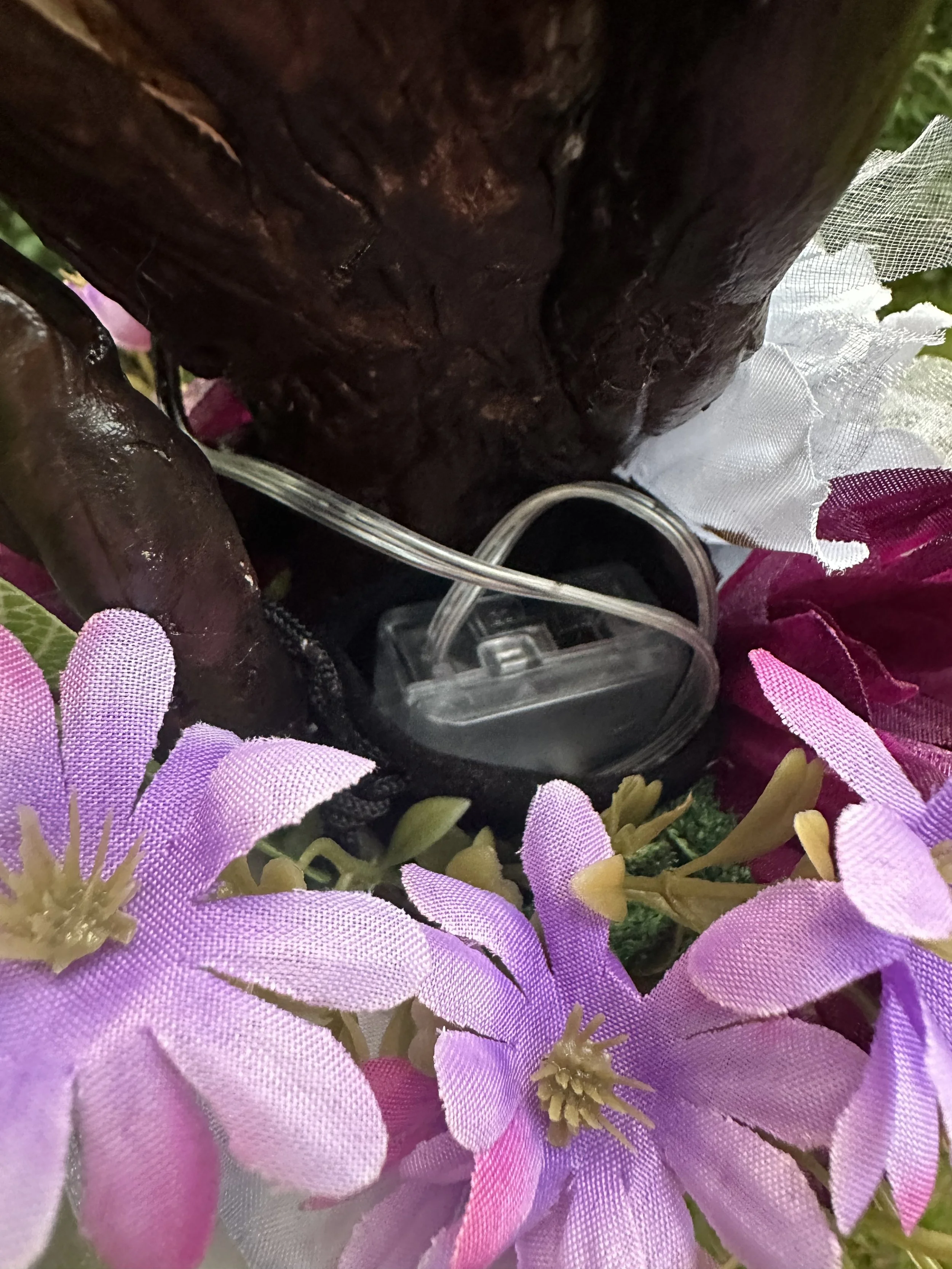 IMG_3082.jpeg