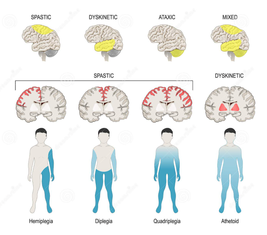 Screen Shot 2022-04-08 at 11.37.12 AM.png