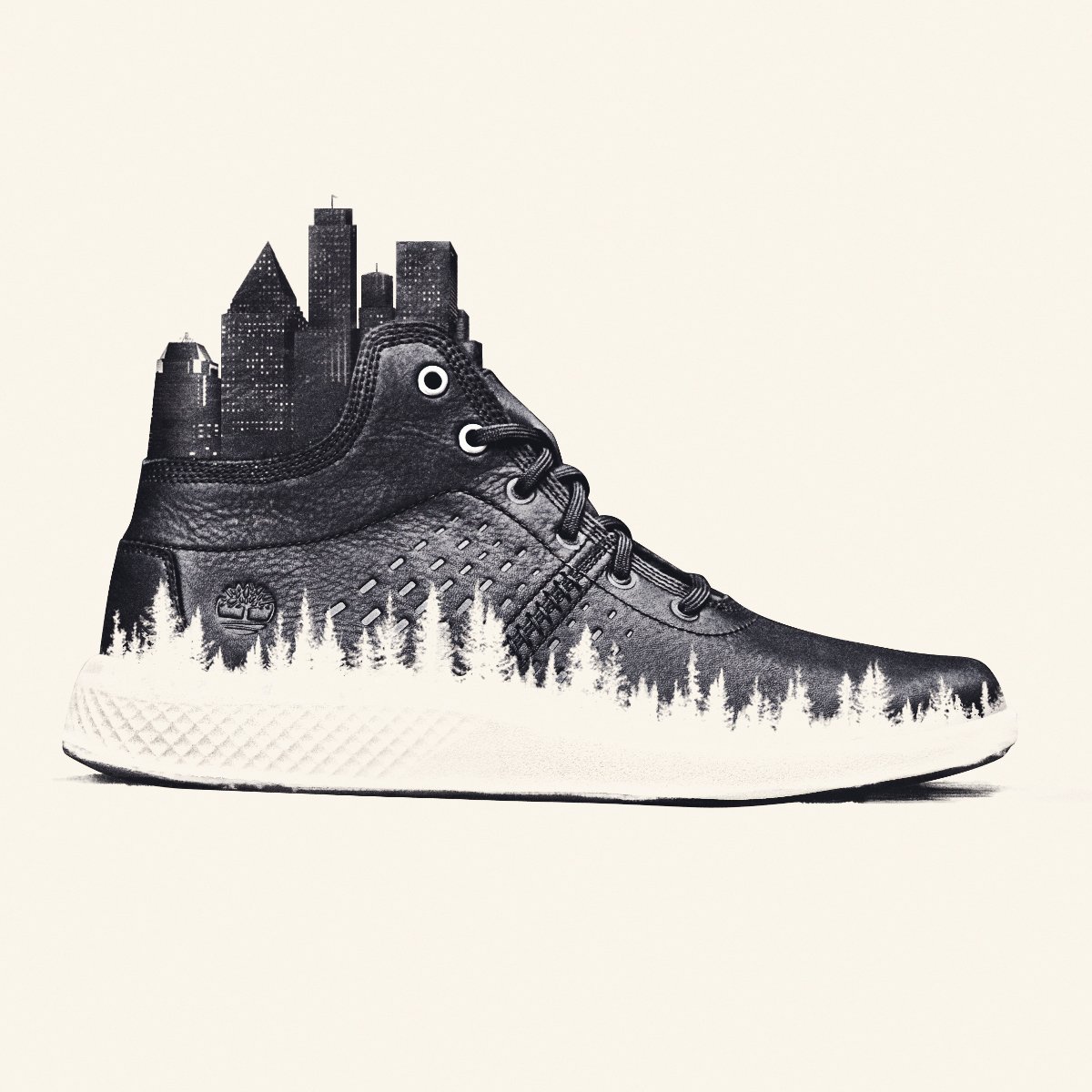 TIMB_DoubleExposure_Flyroam_v3_JN.jpg