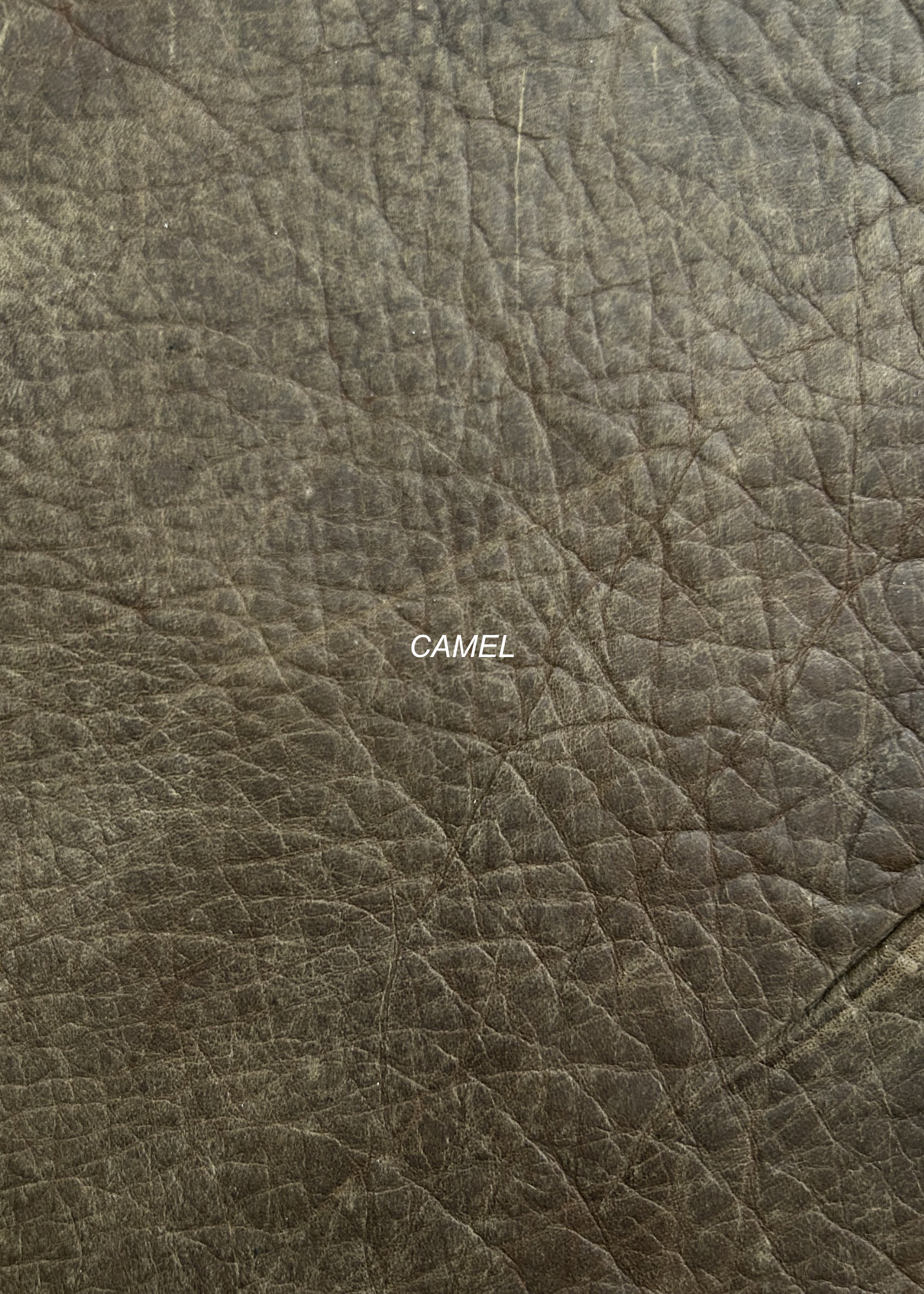 CREAM - 4.PNG