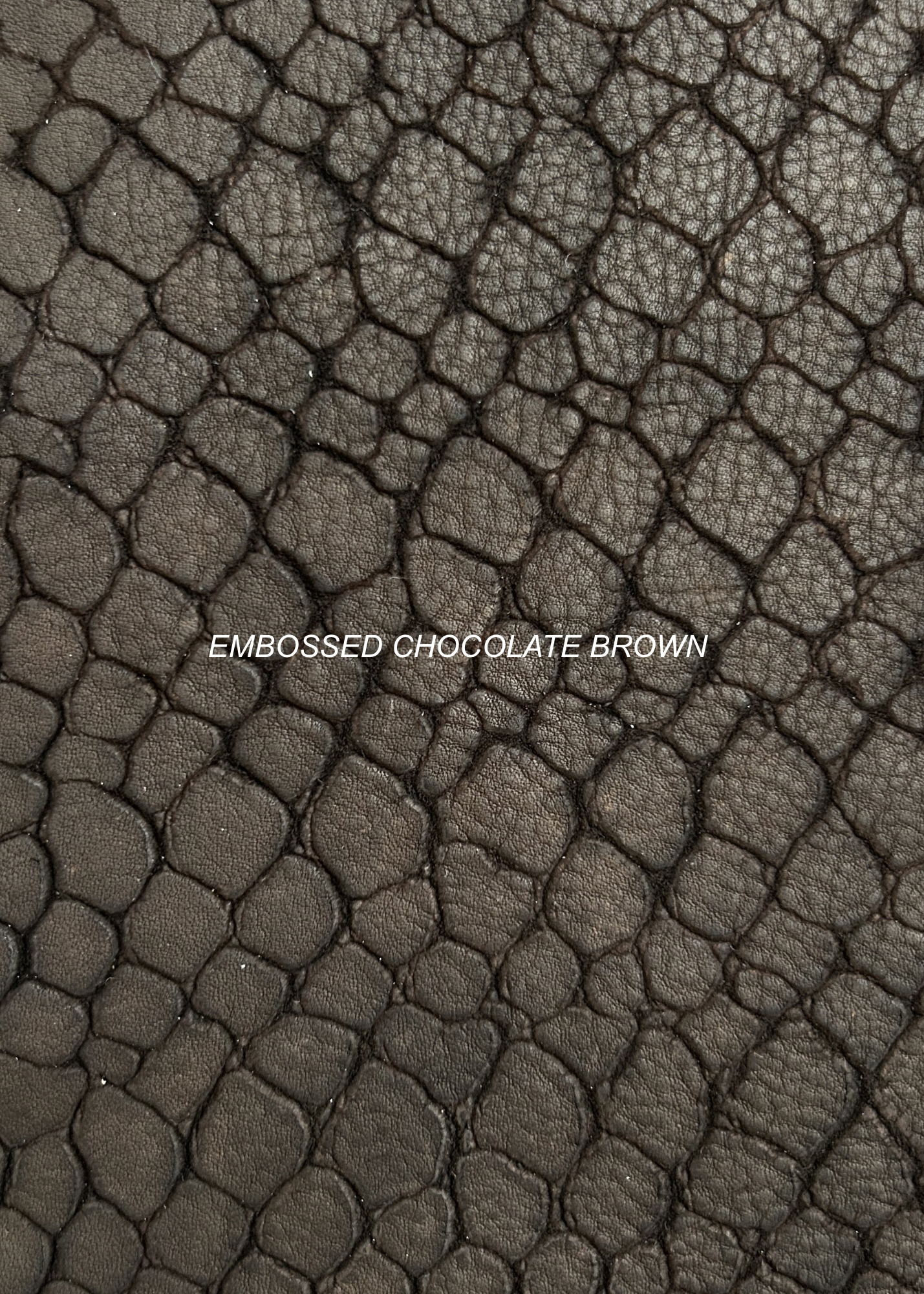CREAM - 2.PNG