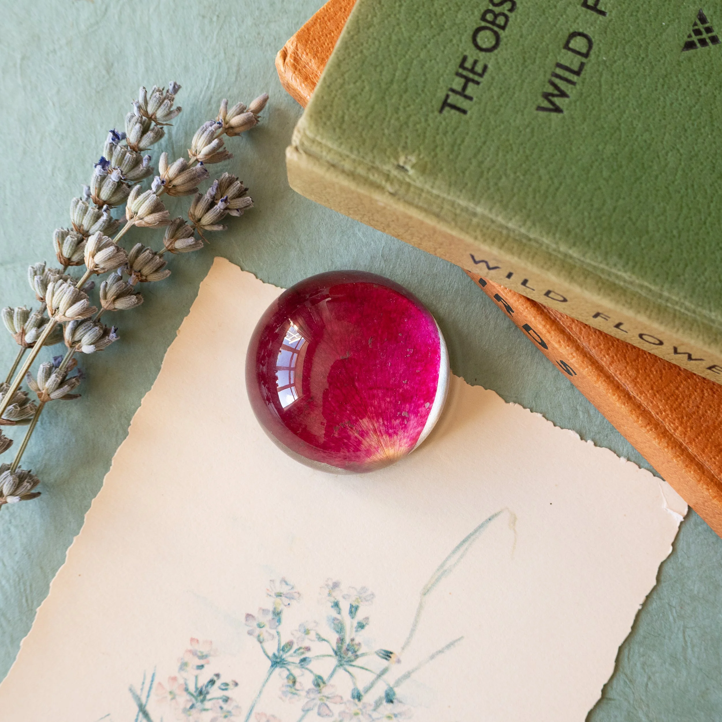 Paperweight - rose petal