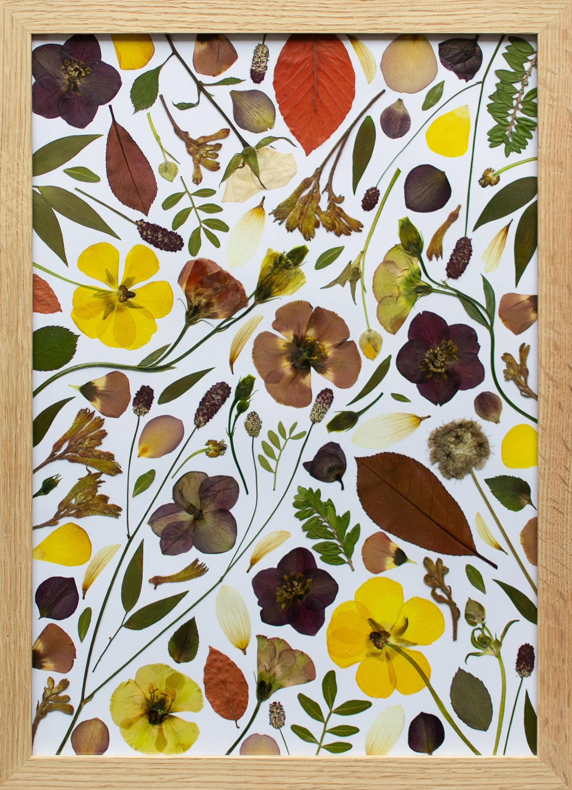 A3 Signature Collage style on white background