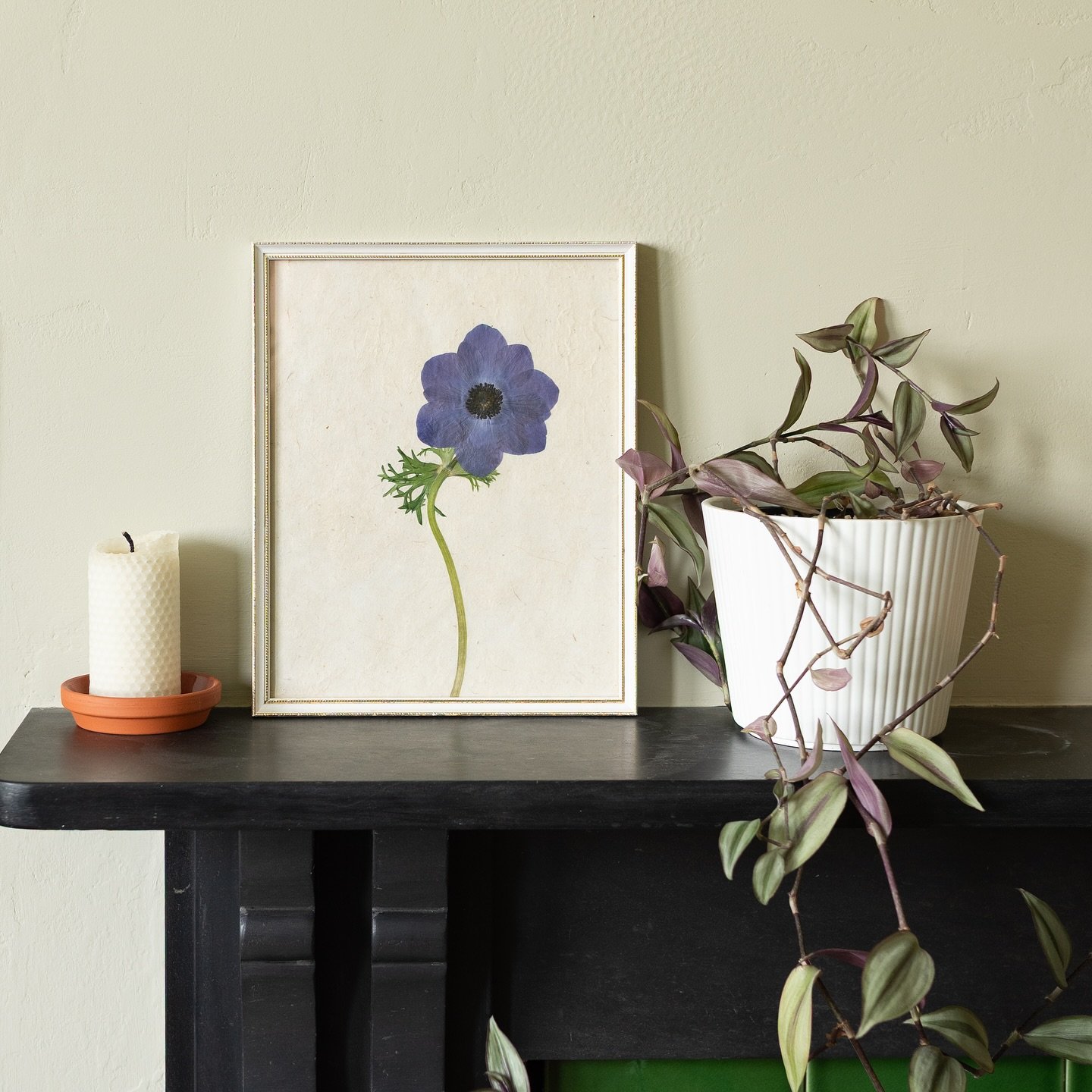 Pressed flowers are the perfect way to enjoy the beauty of flowers all year round.

#vintagestyle #flowers