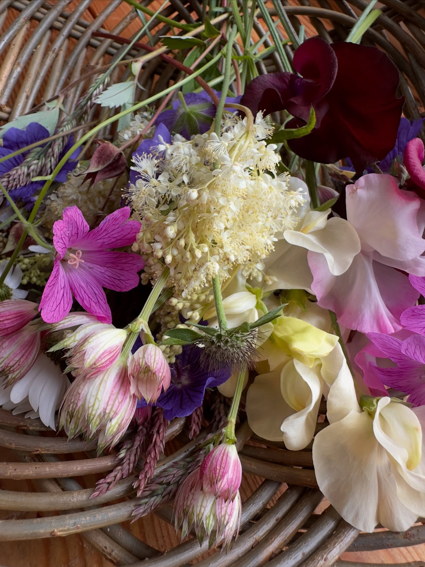 Beautiful flowers from the Meadow and Thyme garden 💕 #cottagegardenflowers