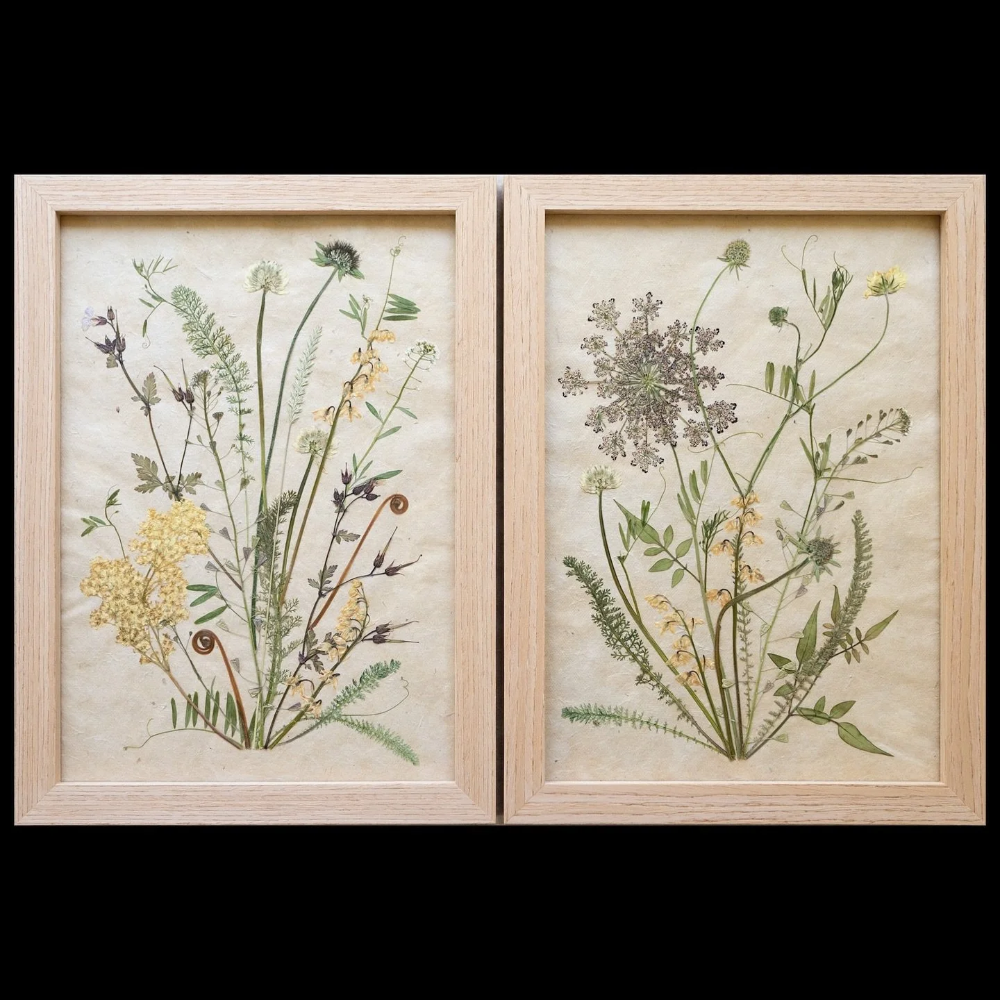 A selection of the pressed flower prettiness you can find in my webshop. All created with flowers grown organically in my garden and traditionally pressed in my studio. Each piece is so full of love. Thank you for supporting small businesses and crea