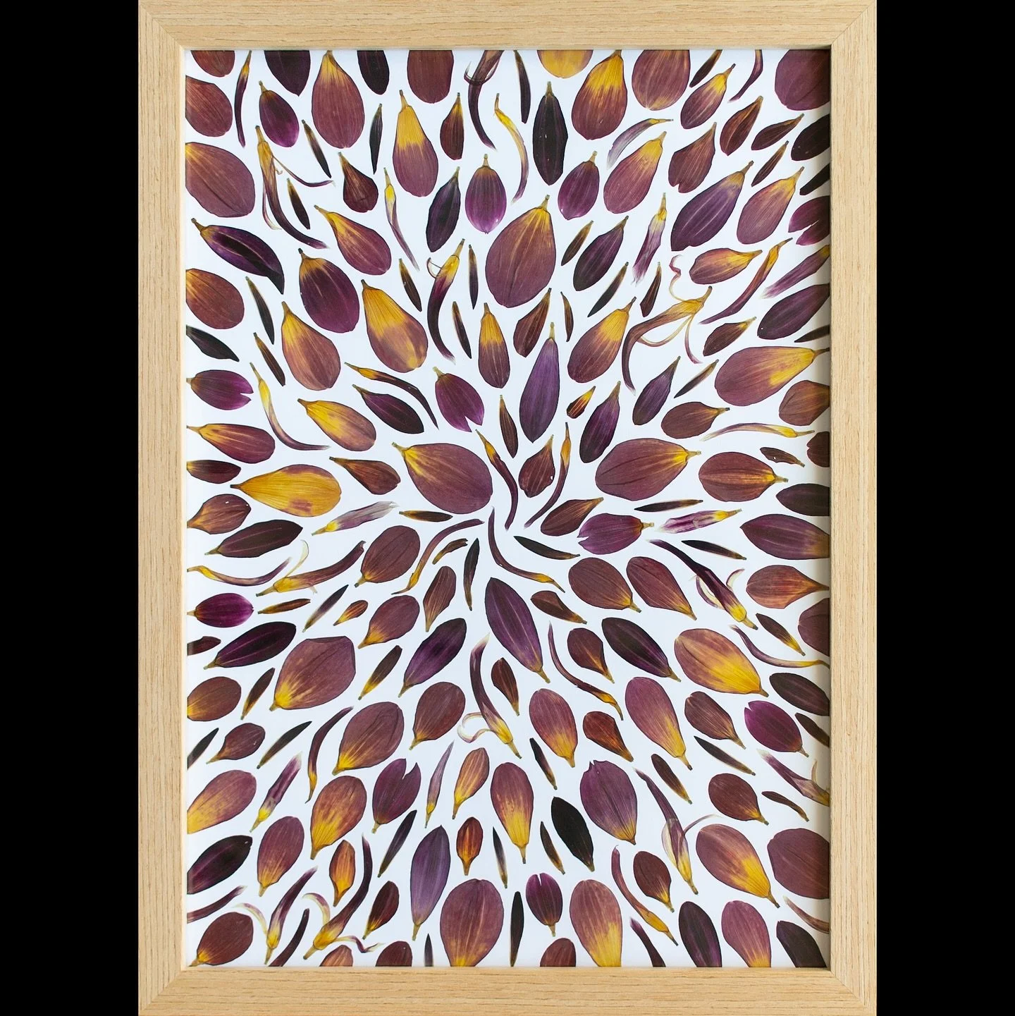 A look at some of the pressed flower beauties you can currently find for sale on my website. As November nears I know a lot of you are starting to think about gifts for the festive season - just a little reminder that supporting small businesses crea