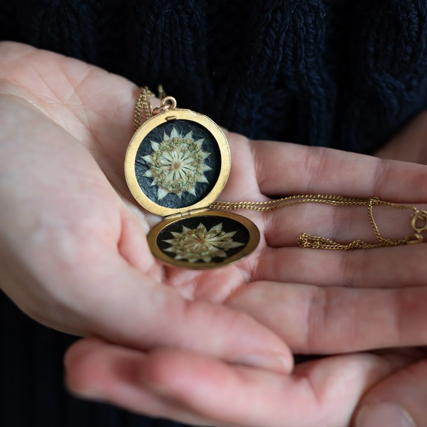 Beautiful astrantia.

A symbol of protection, strength and courage, gorgeous astrantia flowers are full of magic.