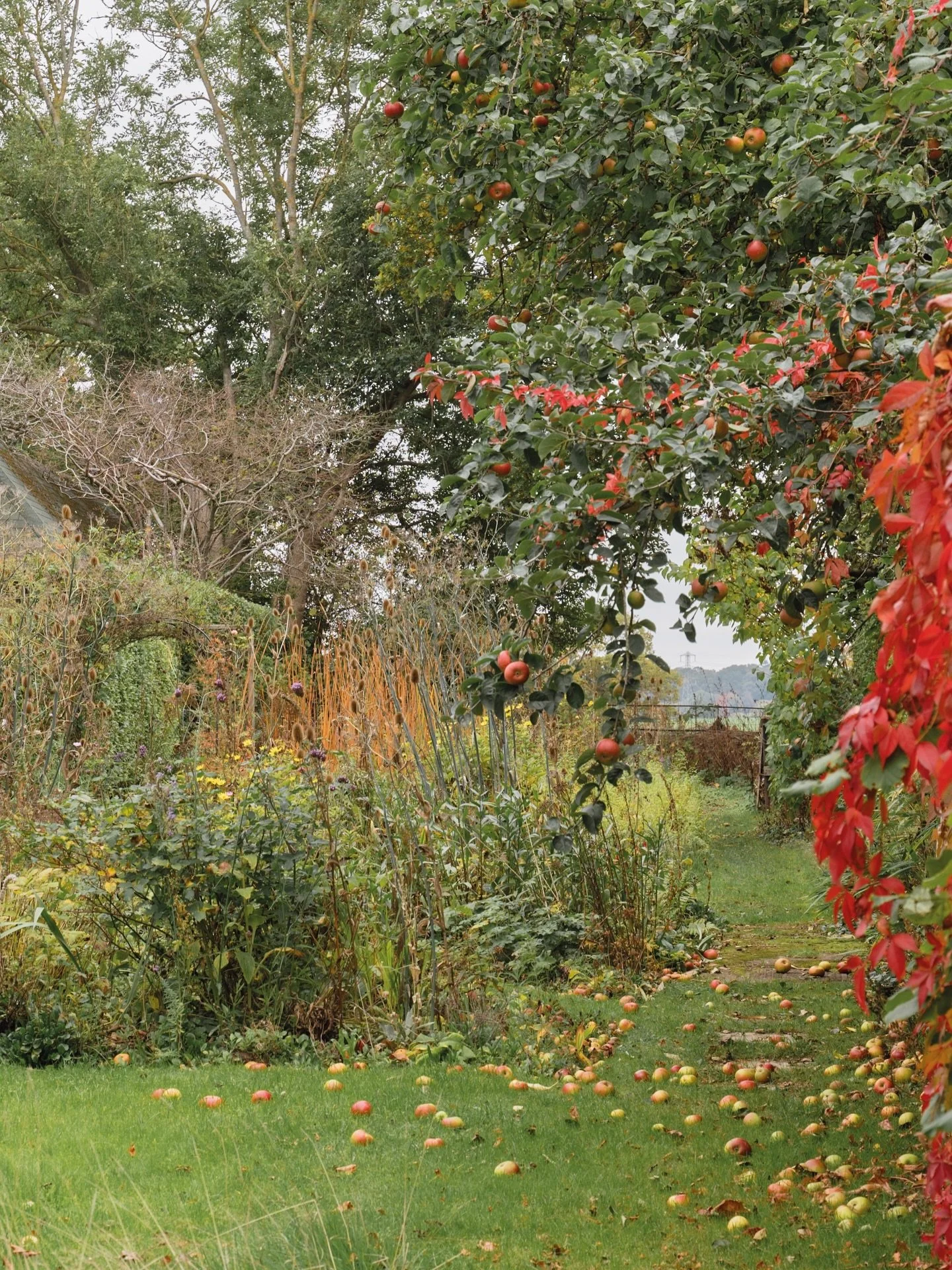 Seasonal Rhythms

Nature gives us so much. There is beauty in every season, and without the quiet of Winter, there wouldn&rsquo;t be the abundance of Summer. 

Each season is essential; in Autumn, trees know the importance of slowing down, letting th