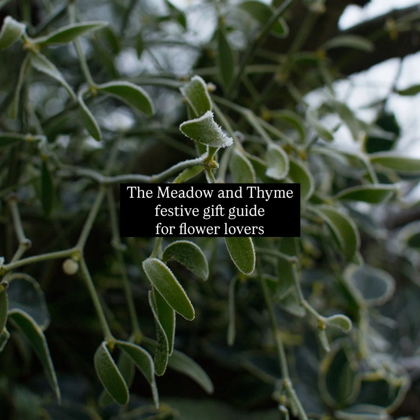 Some ideas for festive gifts. All include the added magical sparkle and fuzzy warm feeling of knowing you&rsquo;ve helped to support a small business and spread love far and wide. 🤍