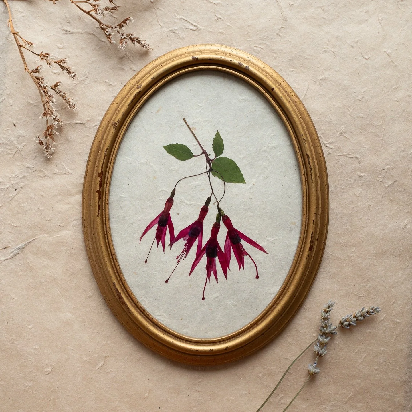 New Vintage Collection pieces just added to my webshop. Organic flowers grown with love in the Meadow and Thyme garden, traditionally slow-pressed and presented on handmade lokta paper in gorgeous vintage frames. Do you have a favourite? 🤍