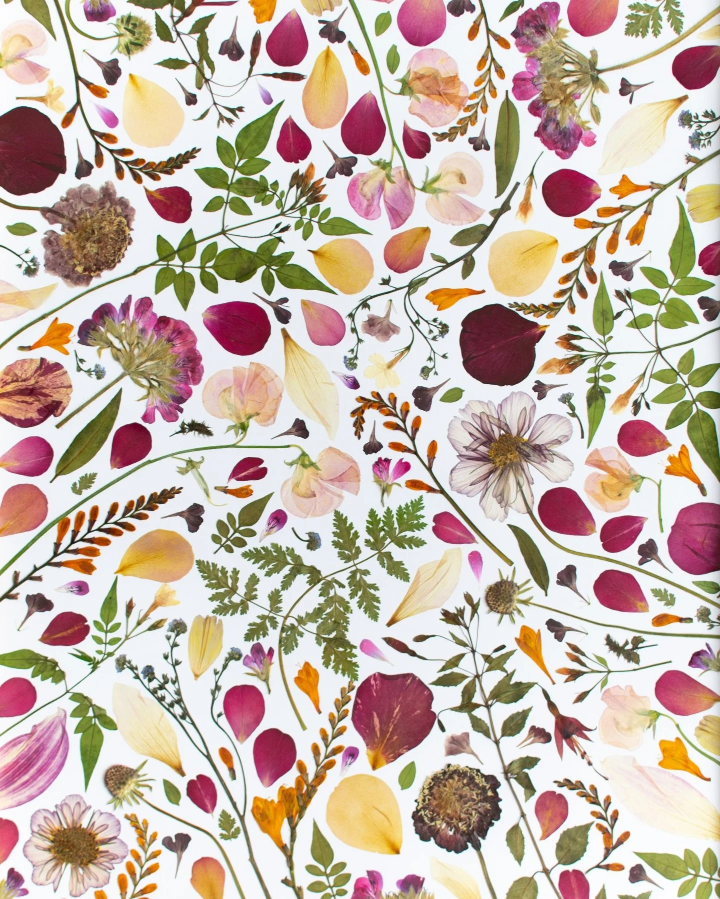 There is so much beauty in nature, if we just take the time to notice. 💕