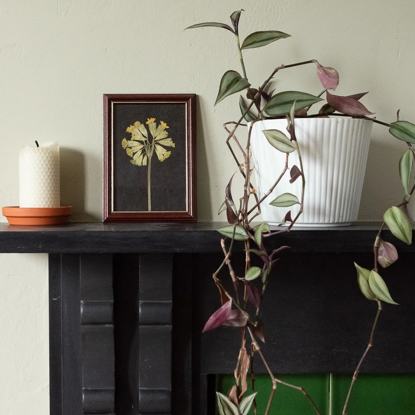 It&rsquo;s on rainy days like today where I really appreciate having pressed flower artwork on display; it&rsquo;s so uplifting to look at flowers and admire their beauty.