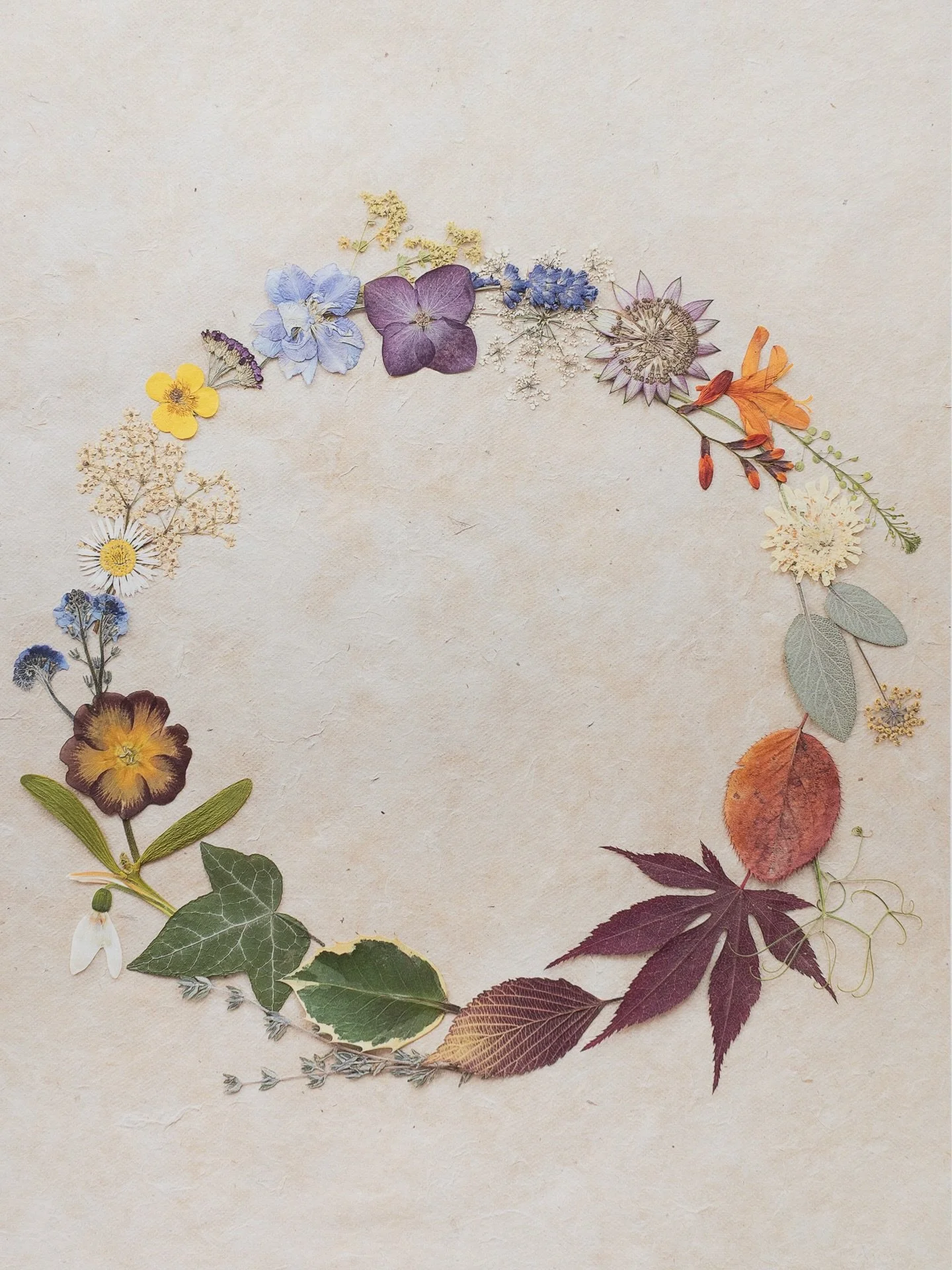 There is so much beauty in every season. 🤍