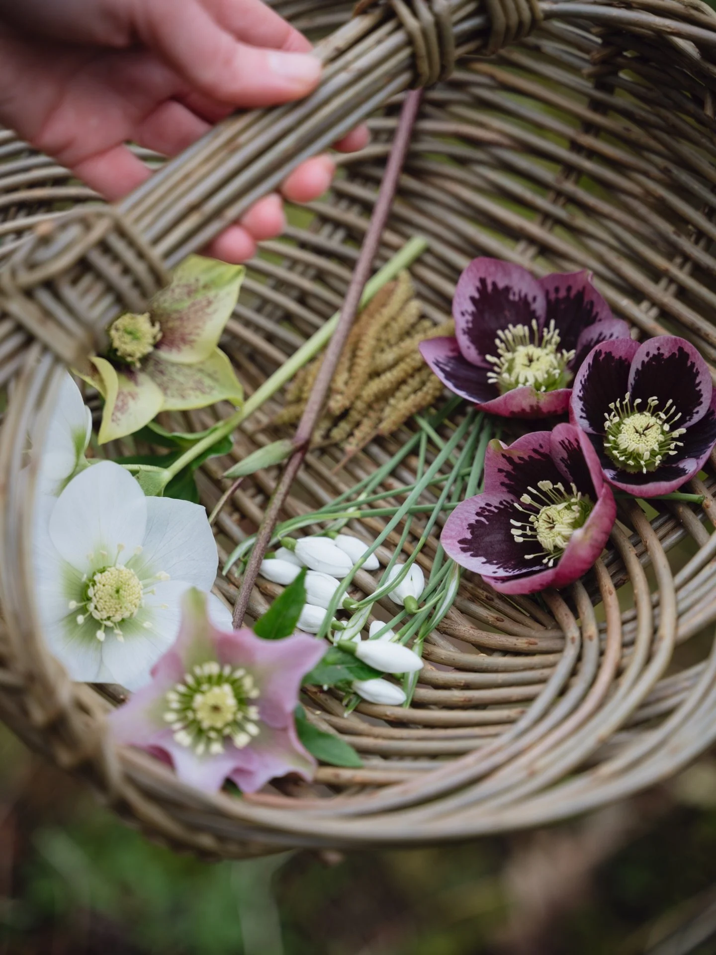 It won&rsquo;t be long until the Winter flowers start to bloom. Hellebores and snowdrops are amazing - gifting us with their stunning flowers when most other plants are seeking shelter and slumber underneath the precious soil. I always feel so uplift