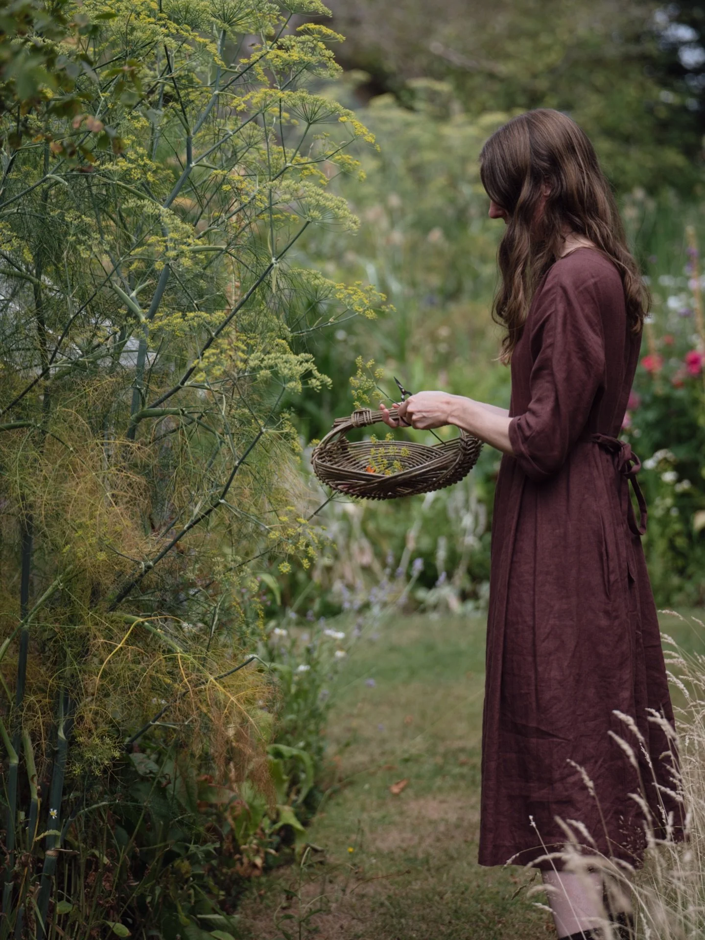 Reconnect with nature and enjoy gentle, mindful moments that boost your wellbeing with The Pressed Flower Handbook. Available to pre-order now from all good bookshops! 🤍