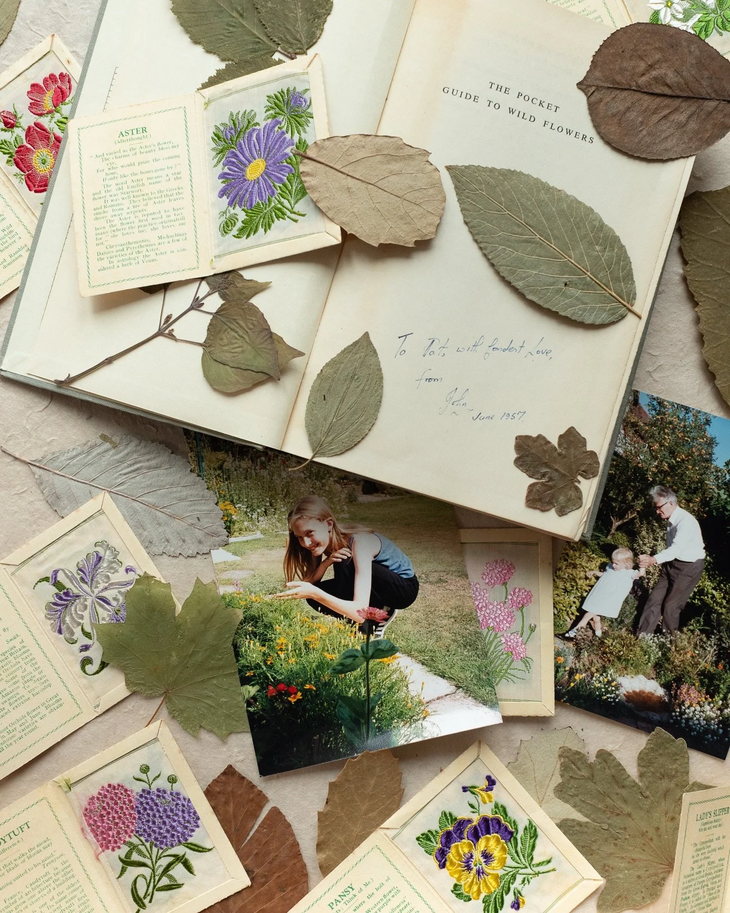 Those of you who have followed my journey will know that my Granny (Pat) was a huge inspiration to me - when I was little she taught me how to press flowers and to notice the beauty in the world around me. When she passed away I pressed the first for