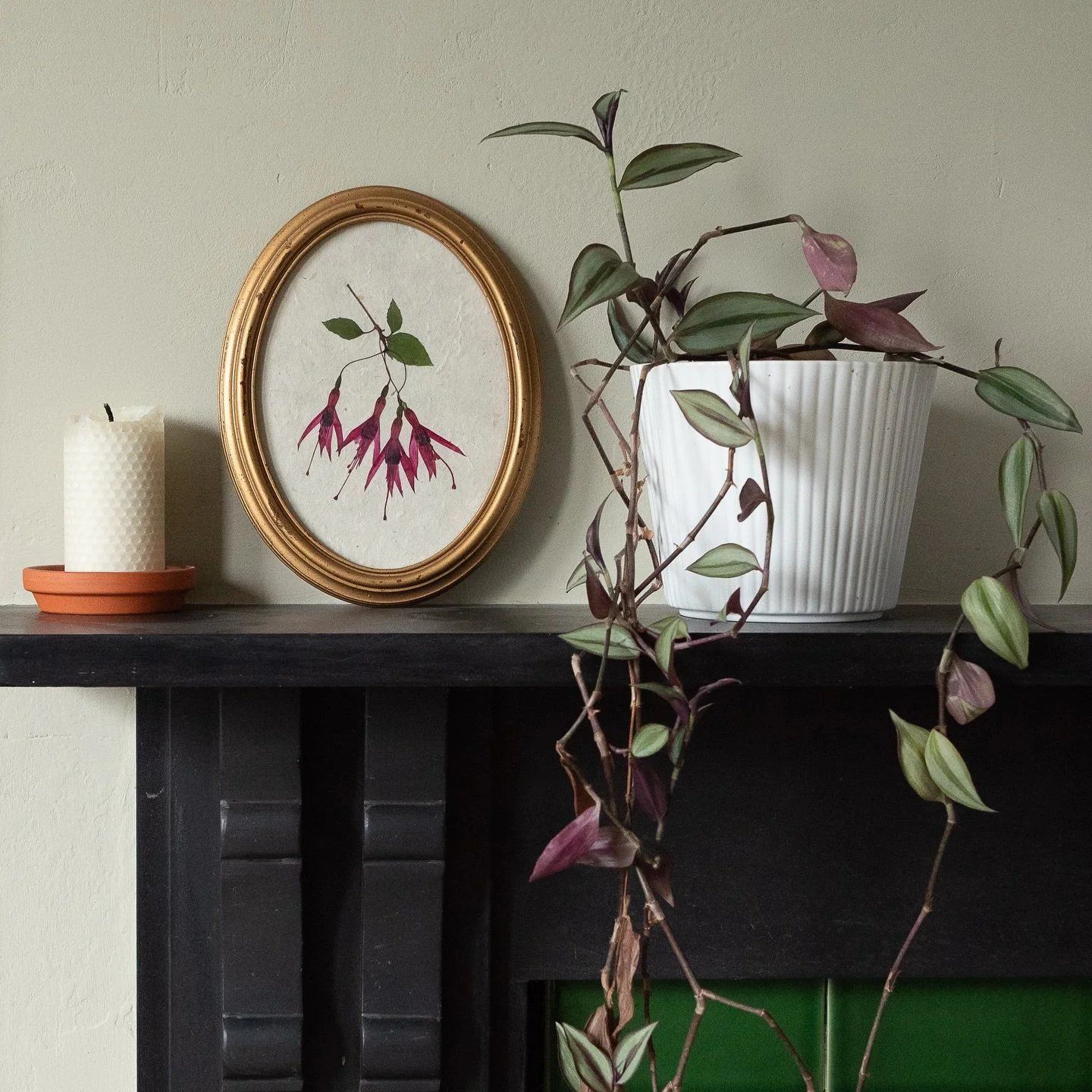 What a wonderful response from you all to my reveal of the printed copy of The Pressed Flower Handbook. I&rsquo;m so very grateful for all of your support, and every single pre-order makes such a difference - thank you! 🙏 

I&rsquo;m giving myself p