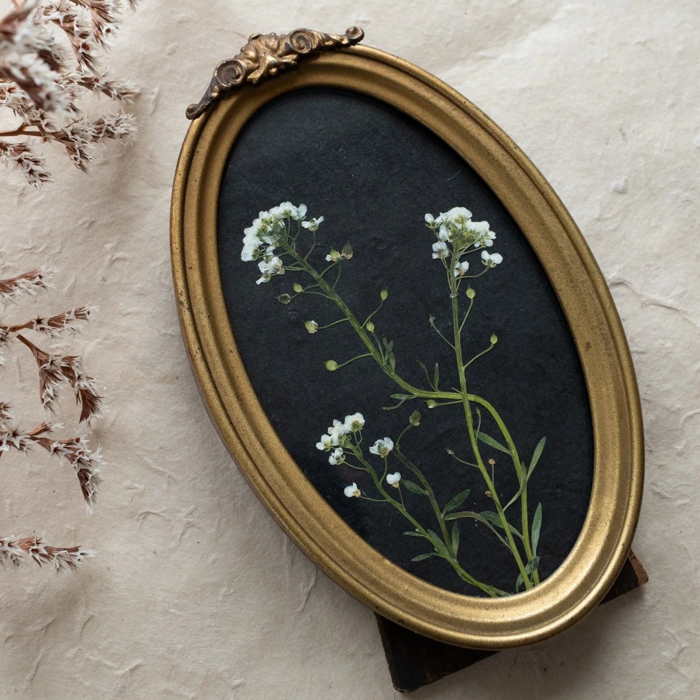 There&rsquo;s something so elegant about pressed flowers mounted on a dark background. Combined with stunning vintage frames, they&rsquo;re truly magical. 🤍
