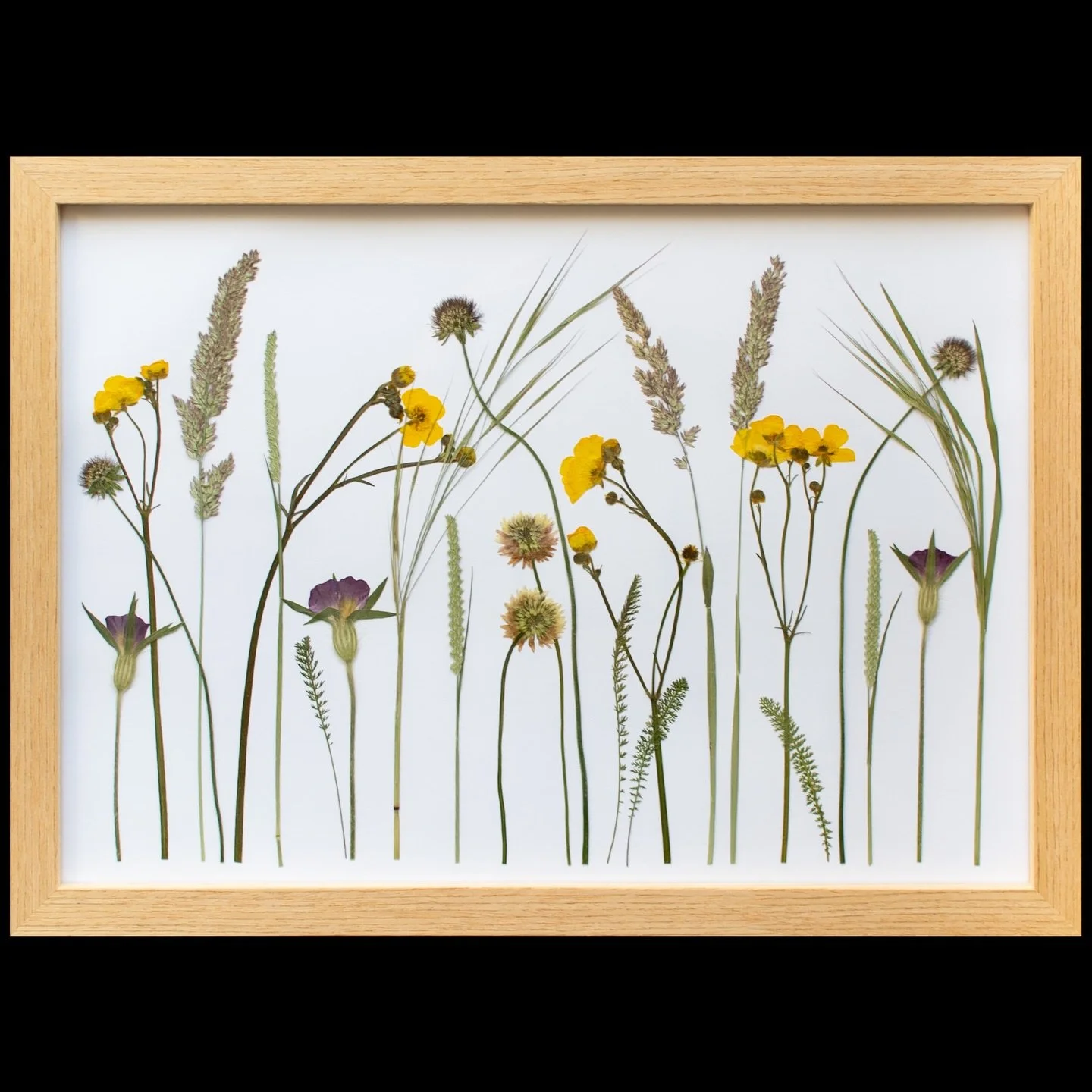 If you are looking for a unique gift for a loved one, or a treat for yourself, you&rsquo;ll find lots of beautiful pressed flower creations on the Meadow and Thyme website. Made with love, naturally. 💛