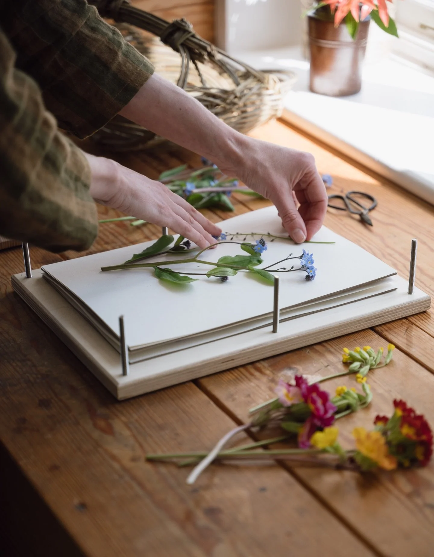 Spring is nearly here! You can get yourself flower-pressing ready with a professional-level Meadow and Thyme flower press; designed by me, they are crafted in the UK, super-sturdy and utterly beautiful! 

Or even better, why not book yourself onto on