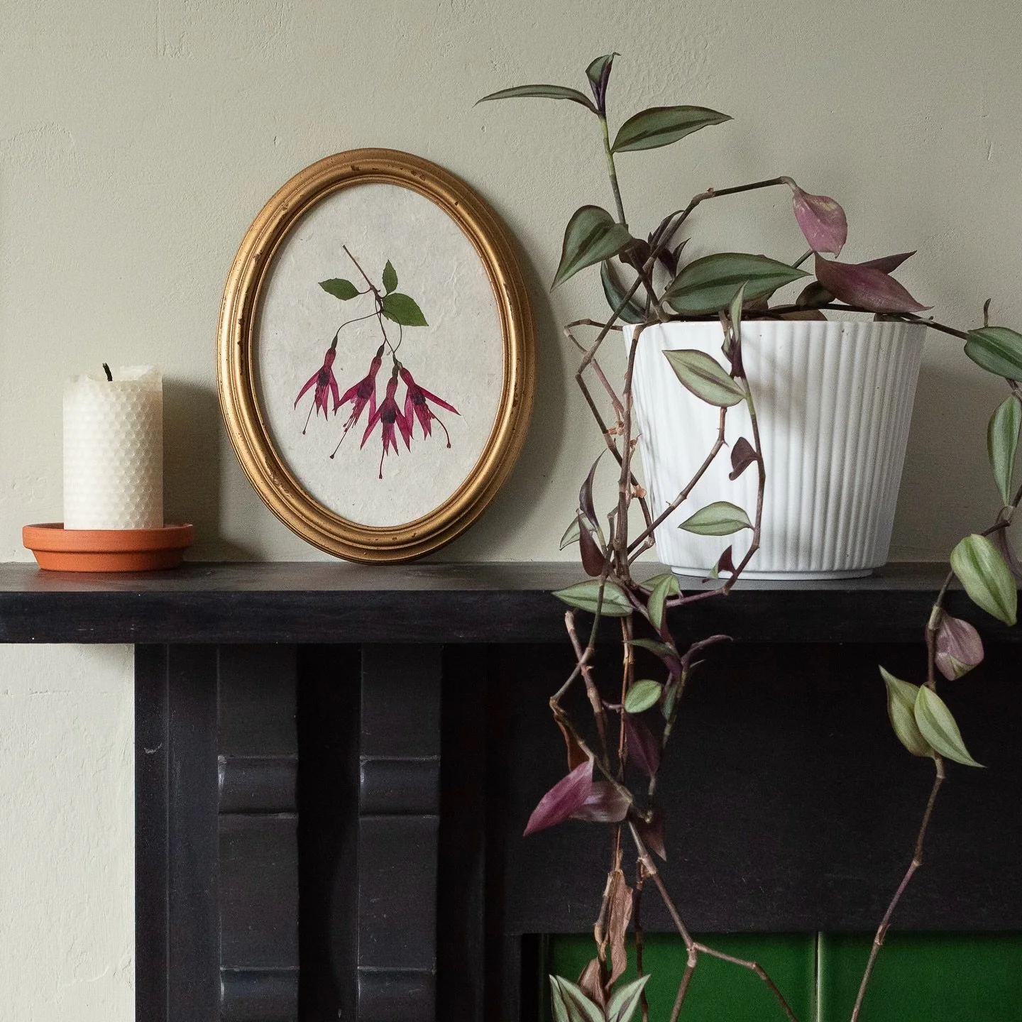 Fuchsia&rsquo;s are special flowers for me, evoking memories of my grandparents&rsquo; beautiful garden in Hampshire where they always had huge pots overflowing with these gorgeous, vibrant flowers. 💕 Are there any flowers that have special meanings