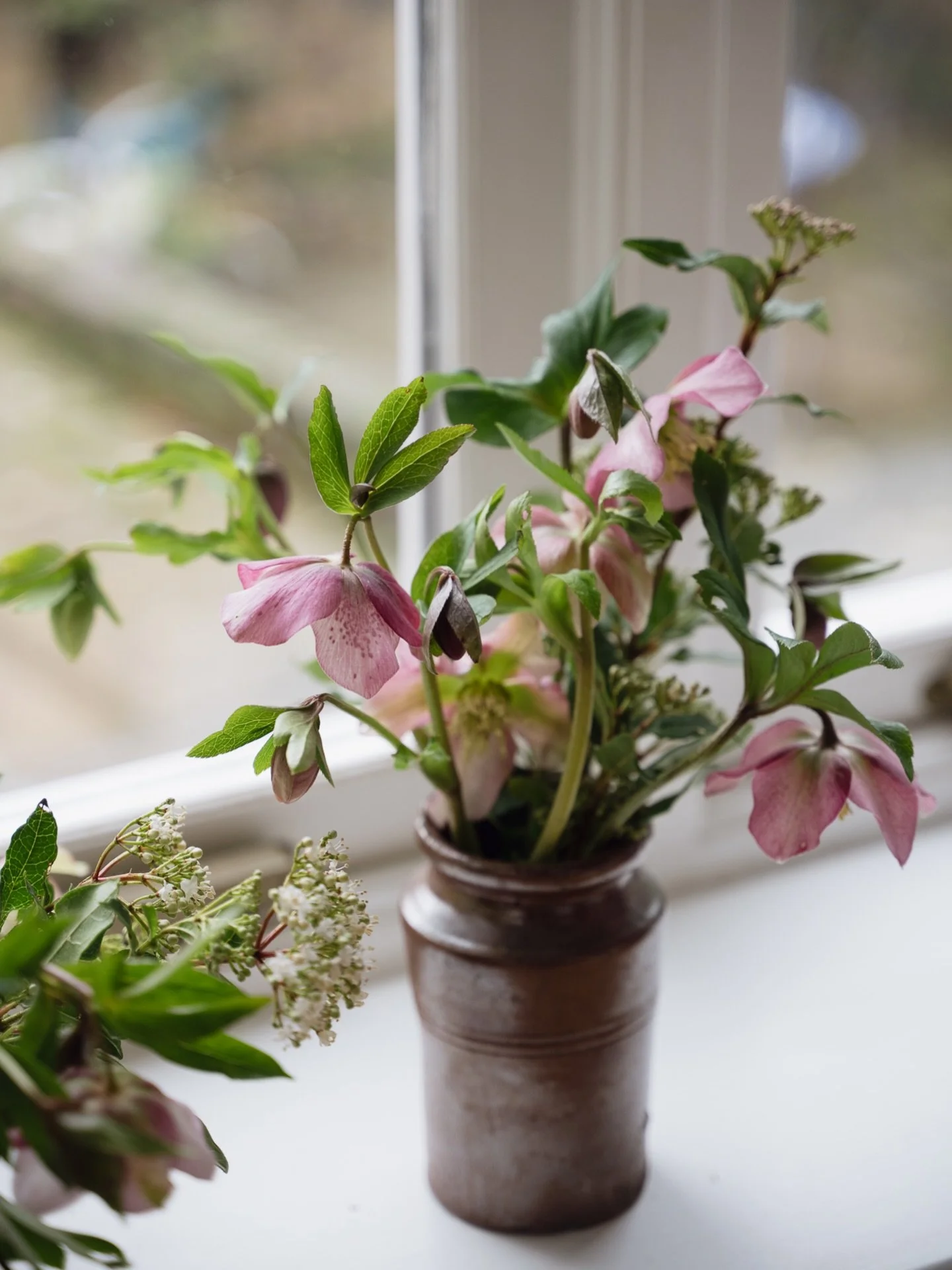 I love being able to pop out into the garden and cut a few seasonal flowers to display inside - flowers in all their forms (fresh, pressed, dried) are so good for the soul. 🤍