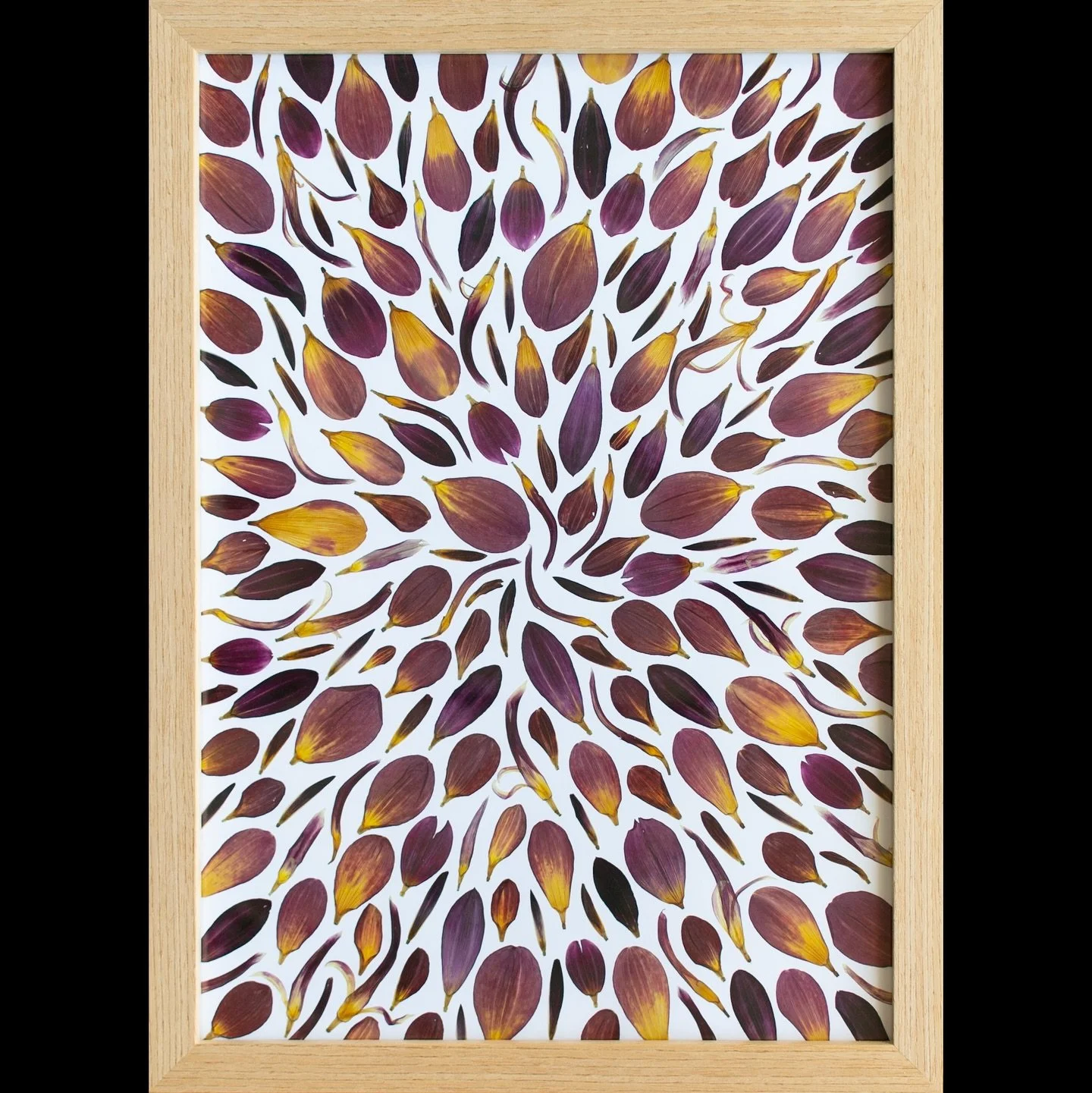 There&rsquo;s still time to order a beautiful pressed flower gift for Mother&rsquo;s Day. You can find all of these floral treasures, some wonderful vintage books (and a link to pre-order The Pressed Flower Handbook 💙) and more on the Meadow and Thy