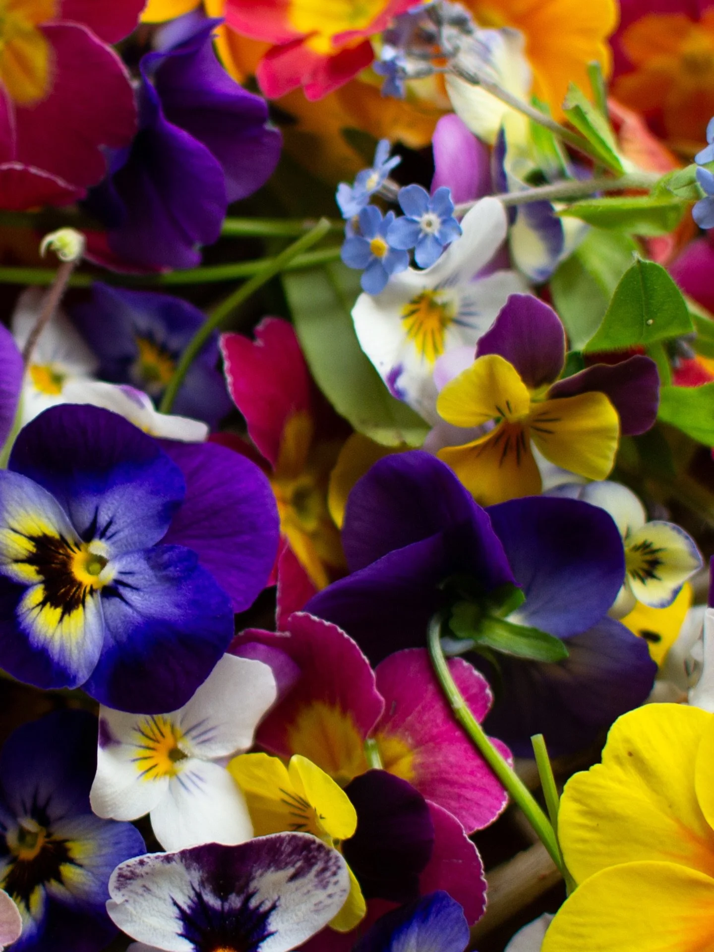 In just a few weeks&hellip;