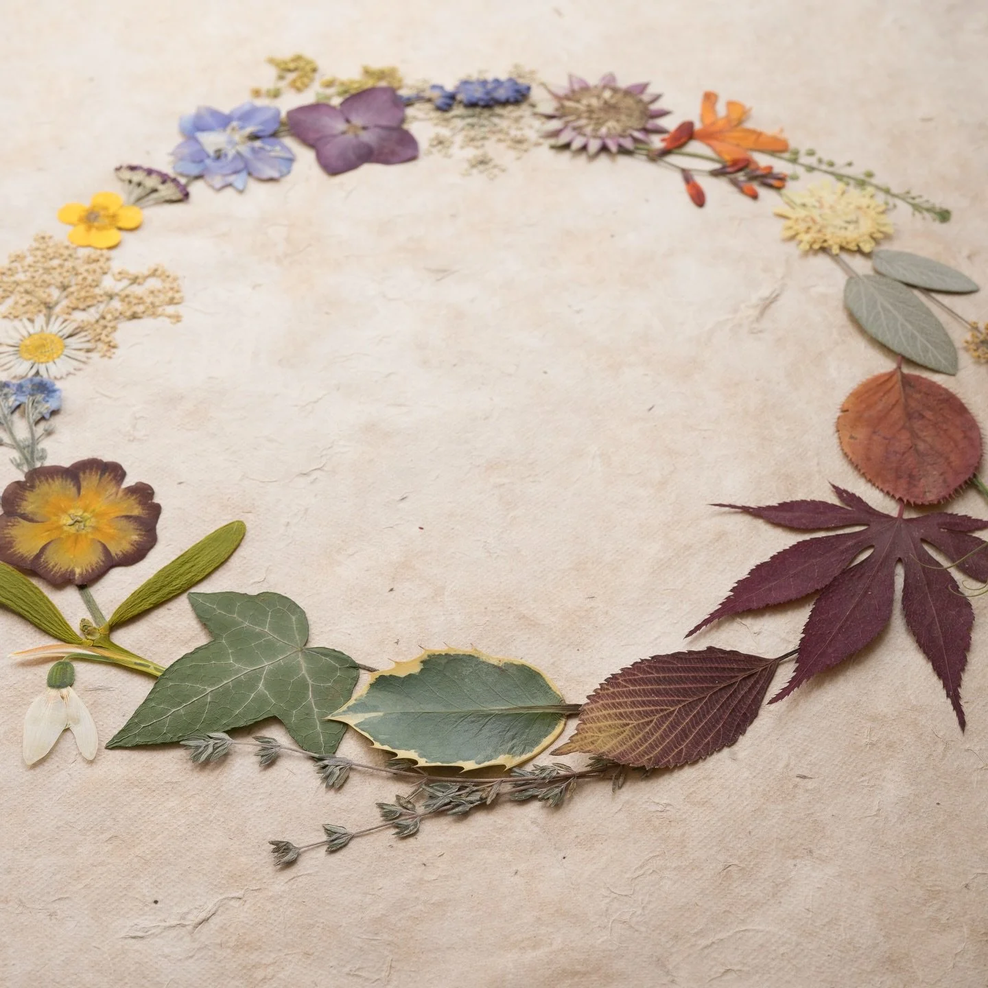 Grow, Gather, Press, Create. 🤍