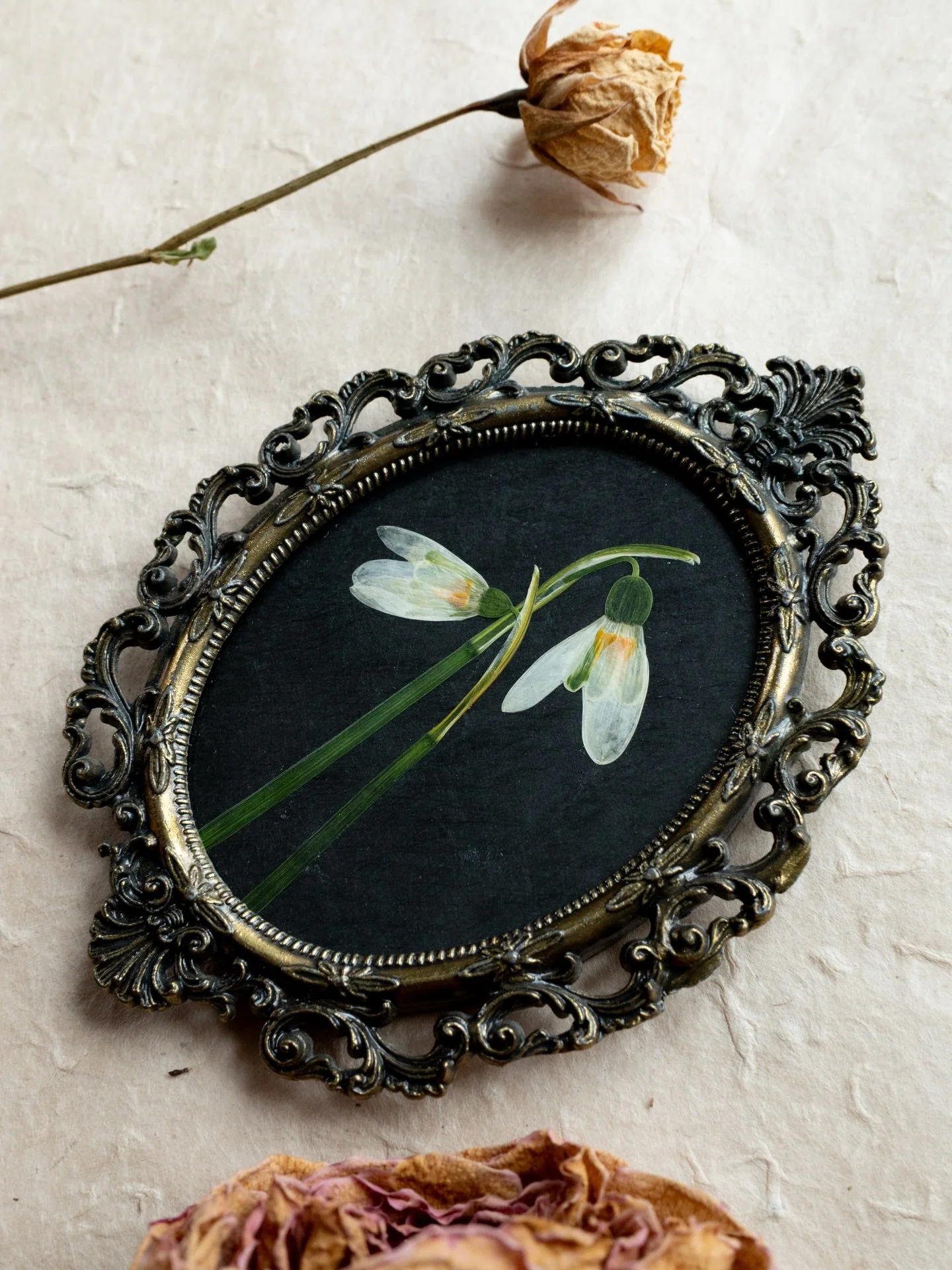 Beautiful pressed snowdrops in a stunning vintage Italian brass frame. 🤍 These gorgeous flowers are a symbol of hope, friendship and rebirth.