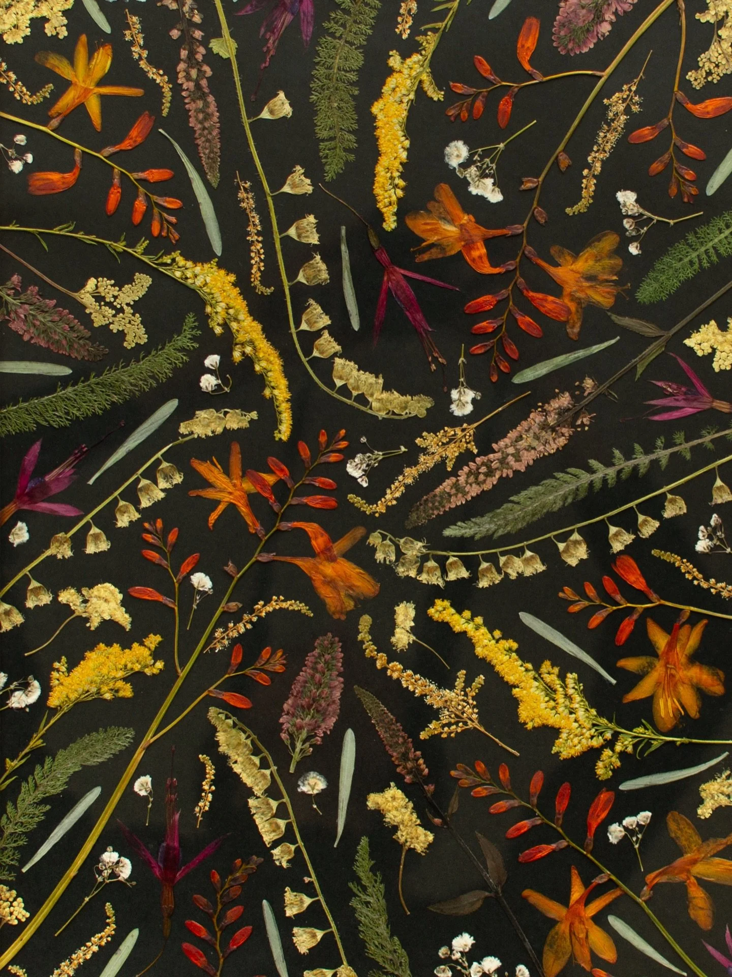 There are so many different ways to create with pressed flowers. This artwork is in my Signature collage style - the flowers look so striking on the dark background. 🧡