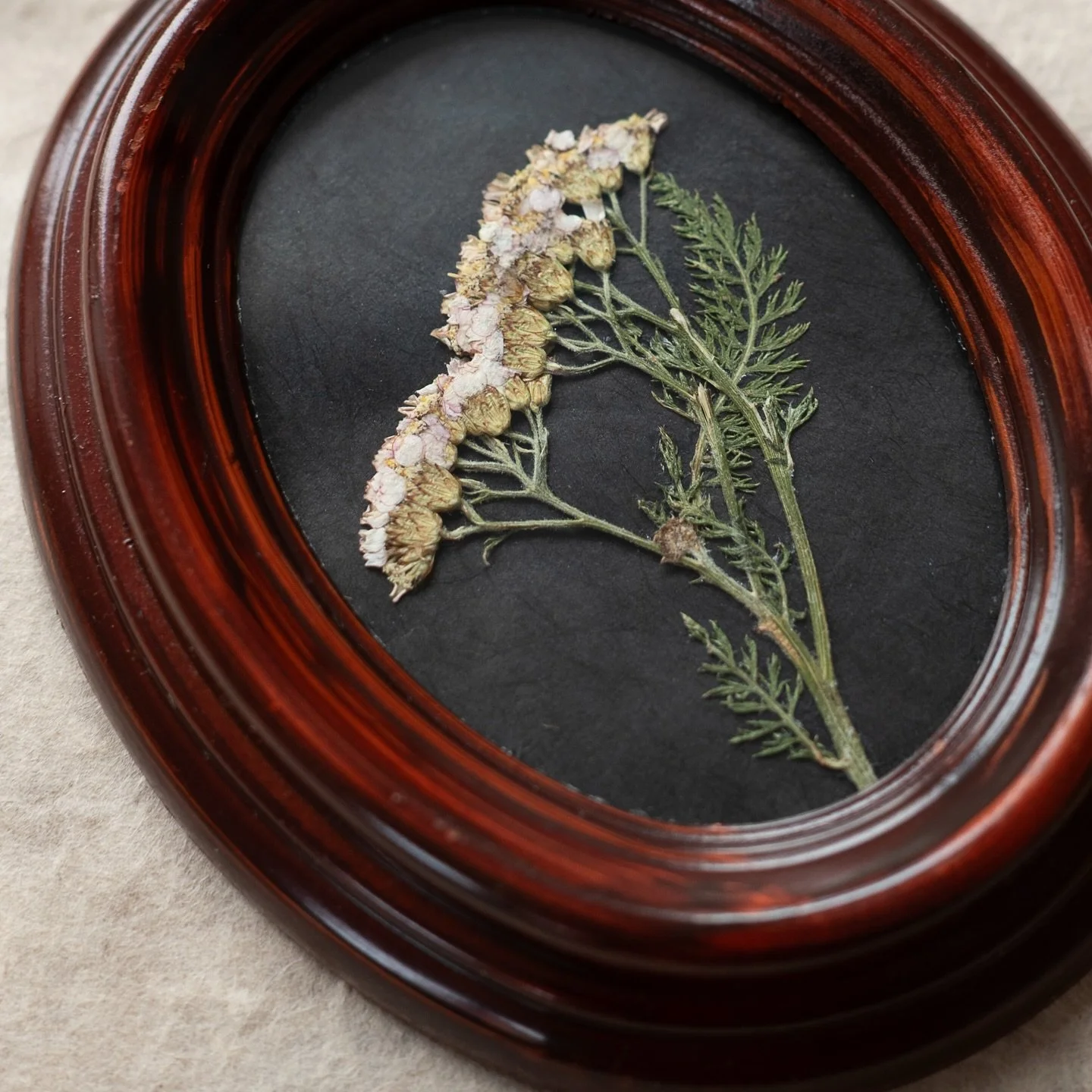 Vintage frames, handmade lokta paper, beautiful pressed flowers. 🤍