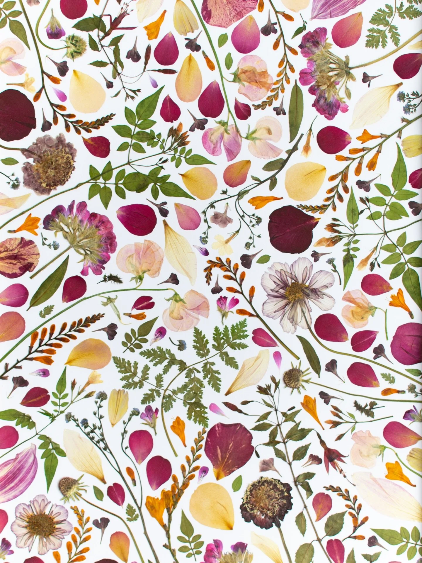 The more you look, the more you see. 💕