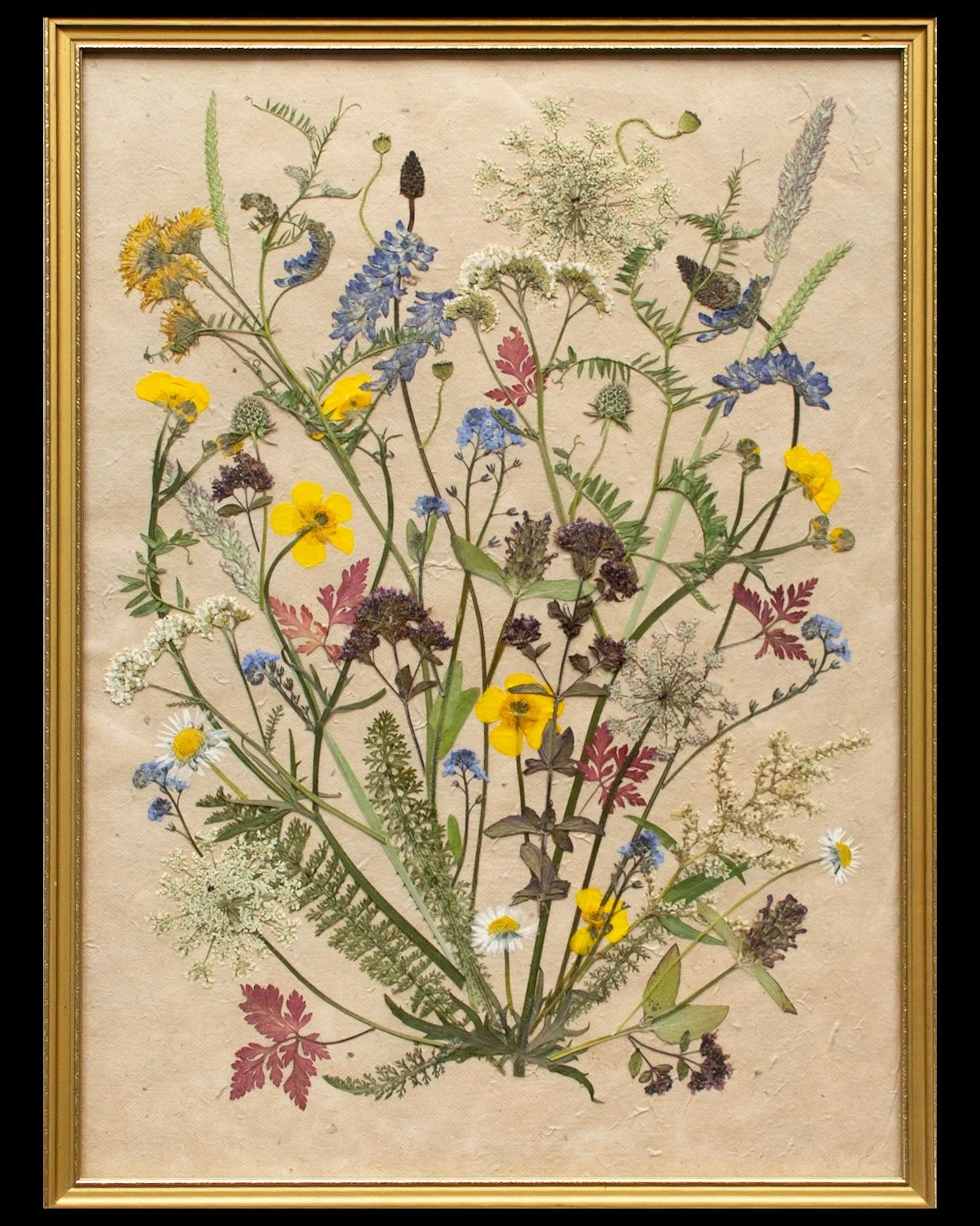 It&rsquo;s such a joy to press and create with wildflowers. Many of the species that feature in this piece are often overlooked or labelled as &lsquo;weeds&rsquo; - these beautiful flowers are all very welcome in my nature garden and I love celebrati