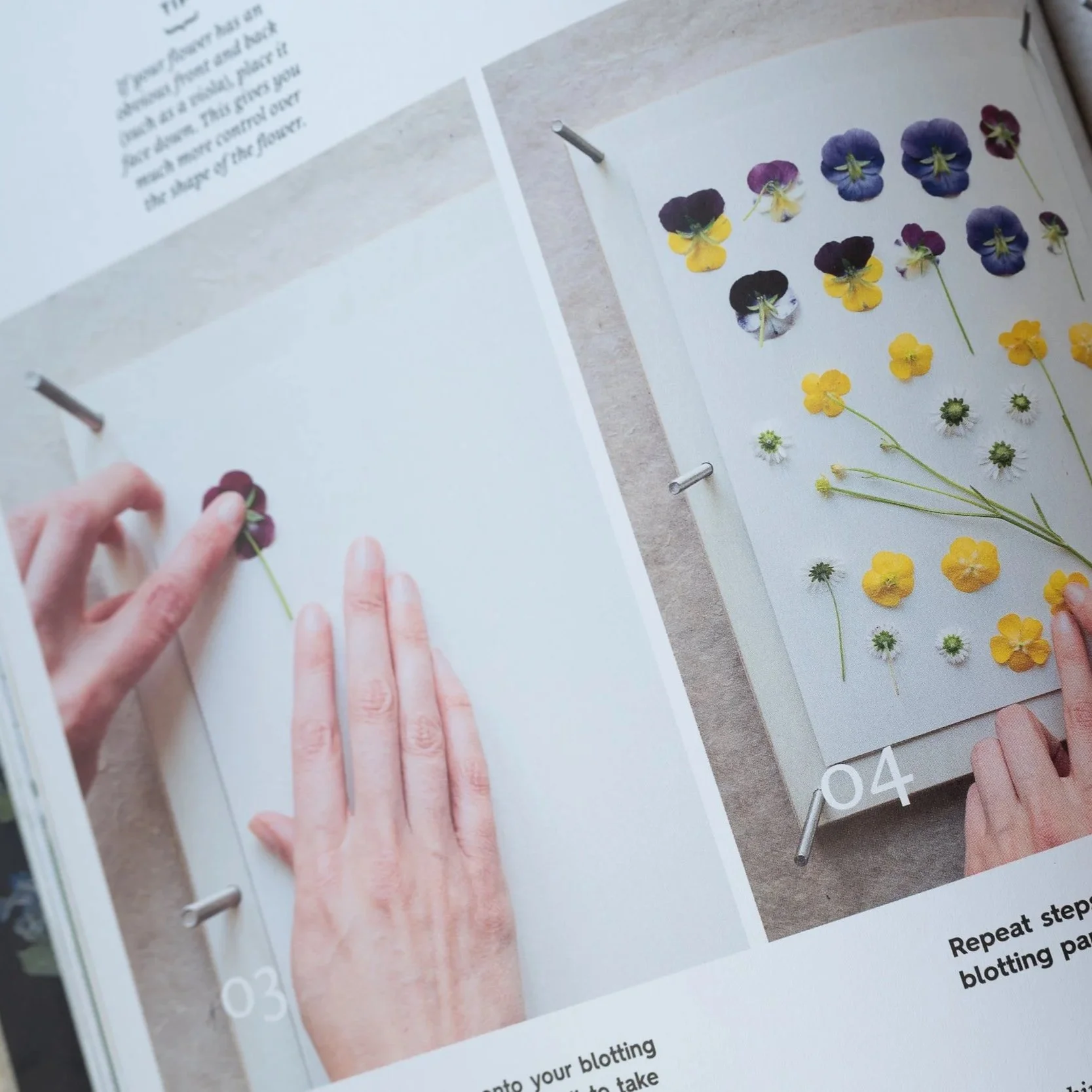 How To Press Flowers