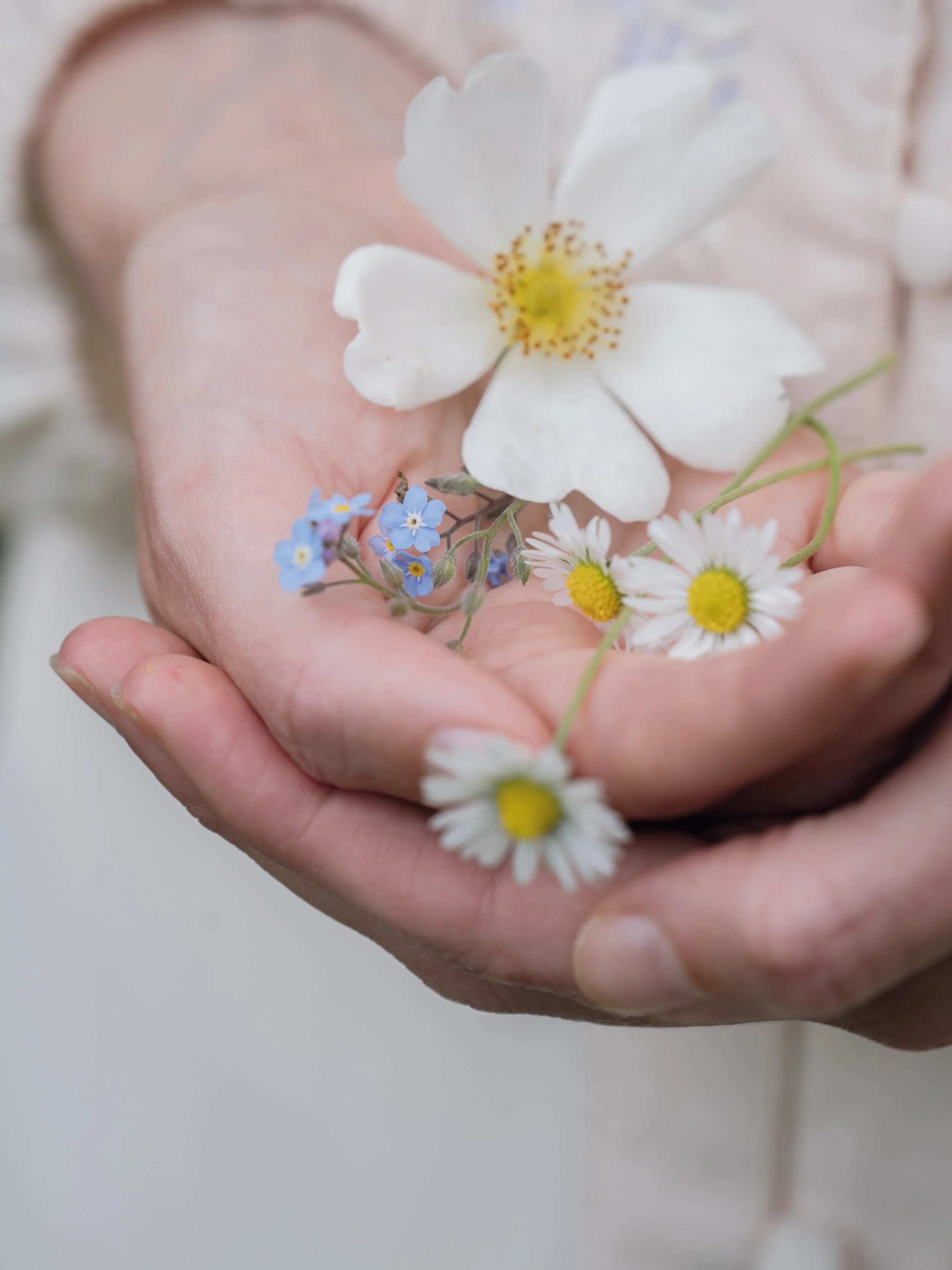 A huge thank you to the incredibly talented @j.h.o.l.l.a.n.d - the creative genius behind the beautiful photography you&rsquo;ll find inside The Pressed Flower Handbook. Jim captured the Meadow and Thyme garden so perfectly throughout every season, a