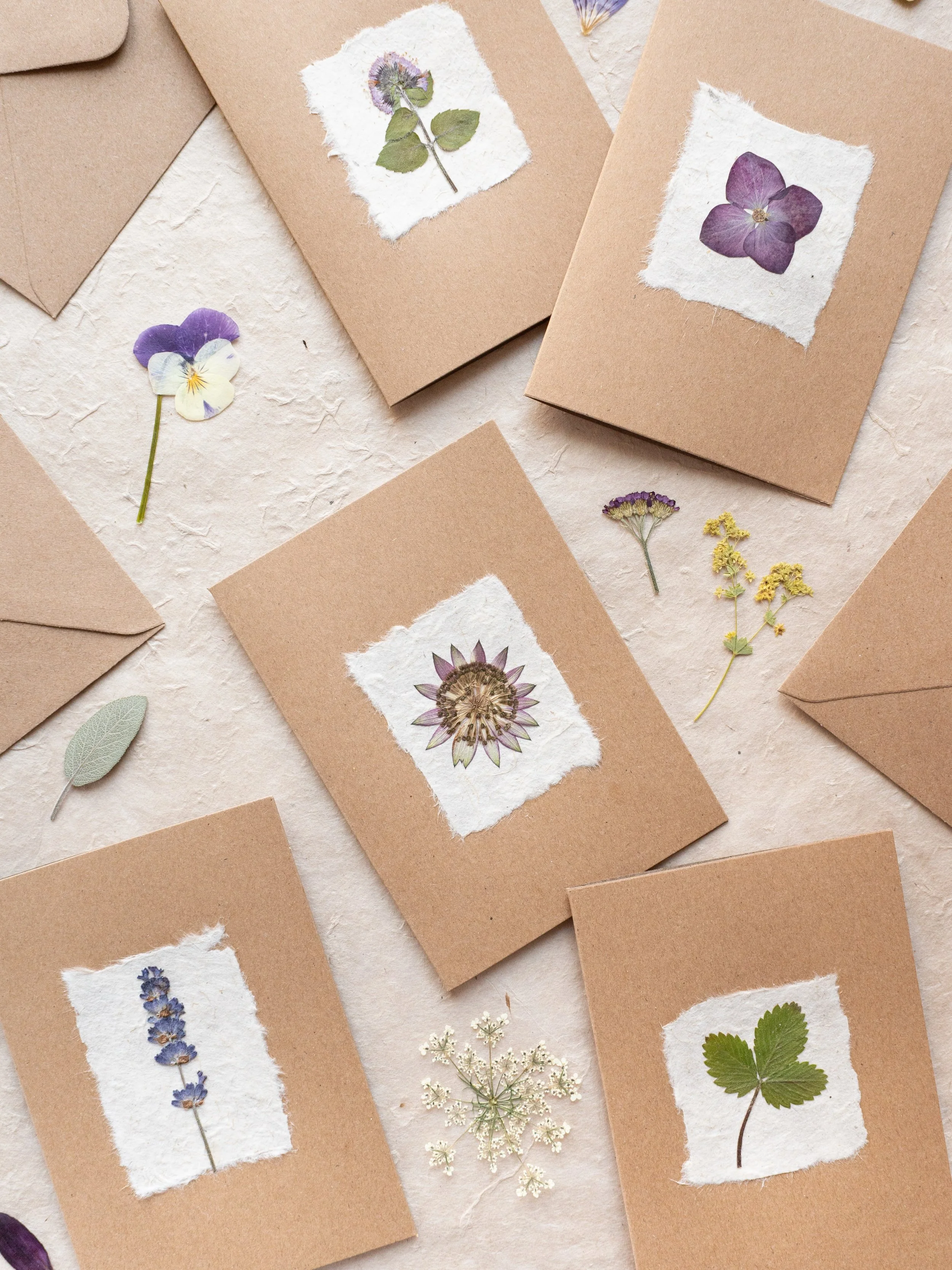 Discover beautiful seasonal creative pressed flower projects, each with a step-by-step guide, in The Pressed Flower Handbook - available now from all good bookshops. Thank you so much for the wonderful feedback from those who have bought the book, yo