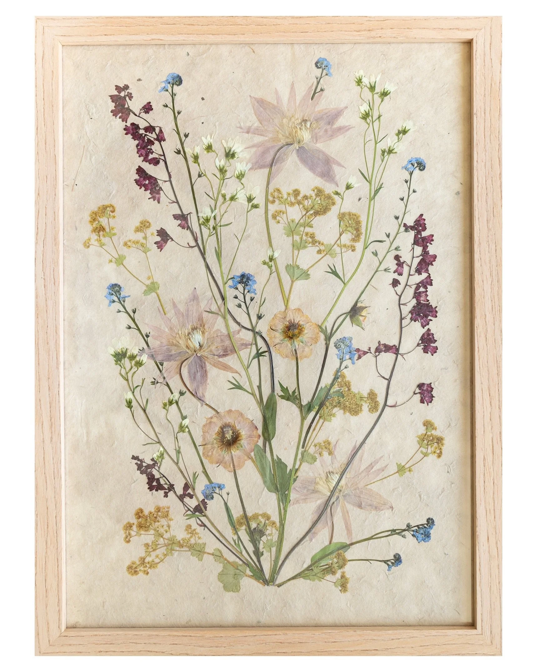 Wild Bouquet Collection - Cottage Garden 06, available now on the Meadow and Thyme website. As seen in The Pressed Flower Handbook! 🤍