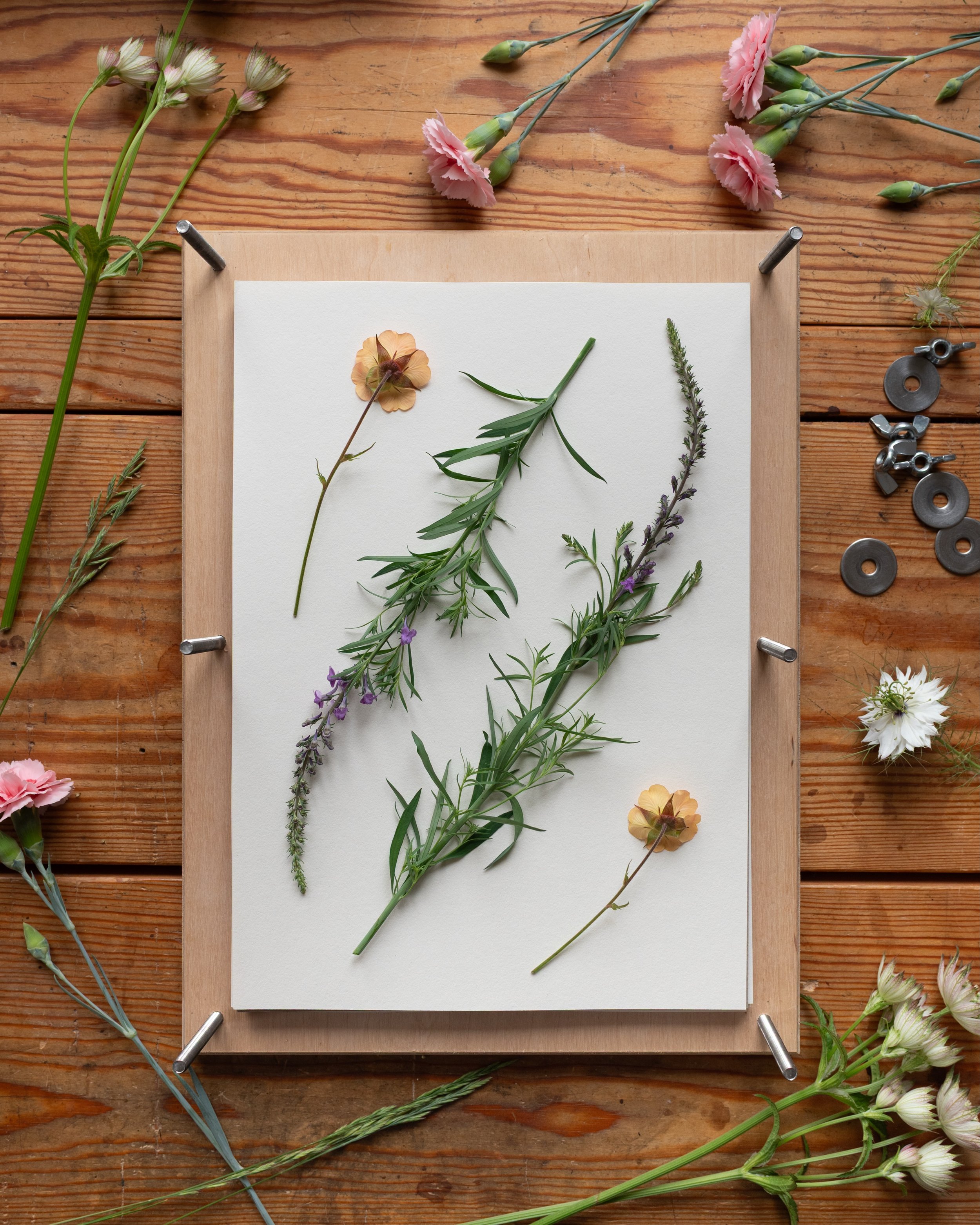 &ldquo;When we allow our natural surroundings to embrace us, to guide us, to heal us, the positive impact on our wellbeing begins to shine through. For me, there&rsquo;s no act more mindful, calming and immersive than pressing flowers. It combines so