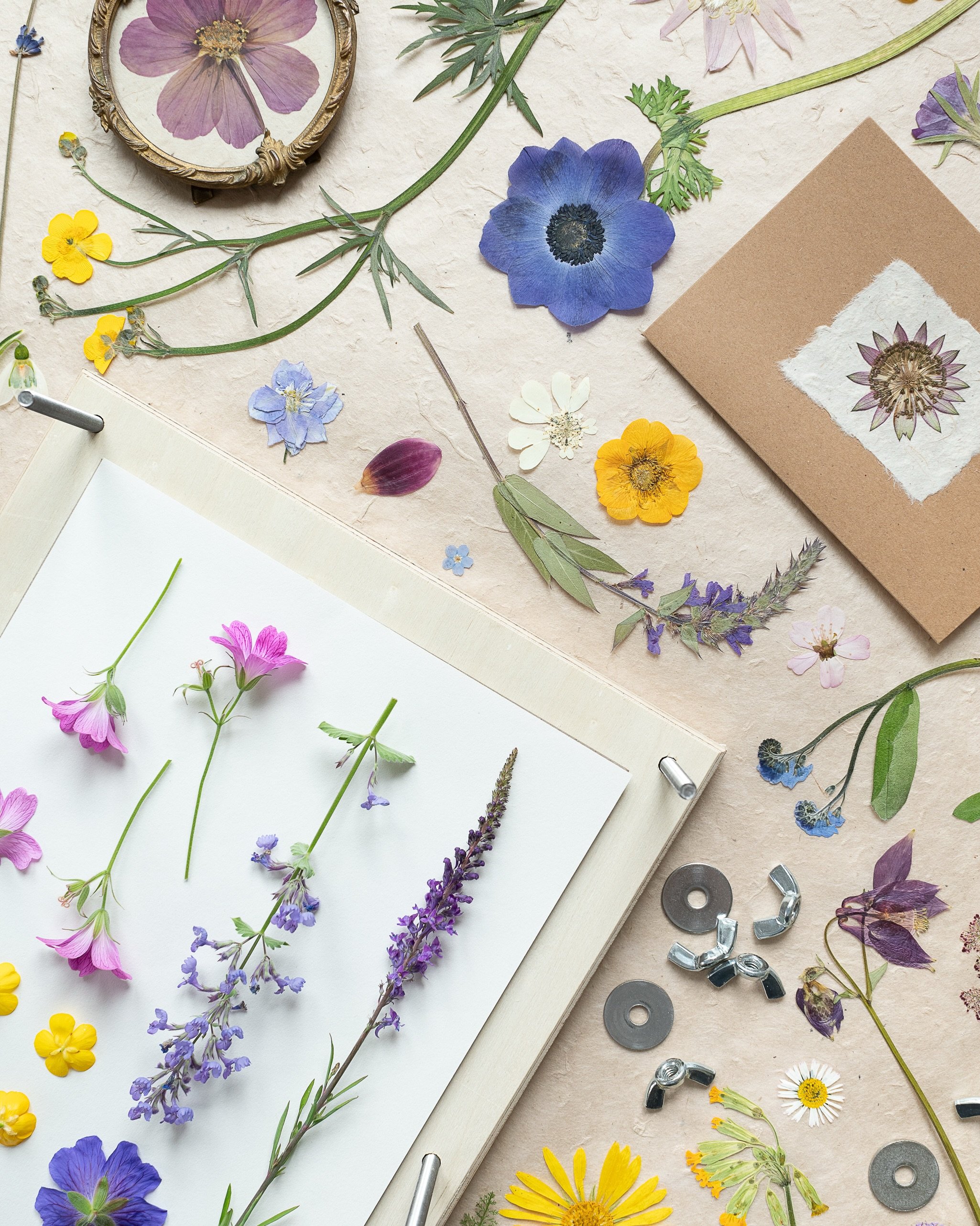 Have you discovered the joys of flower pressing?