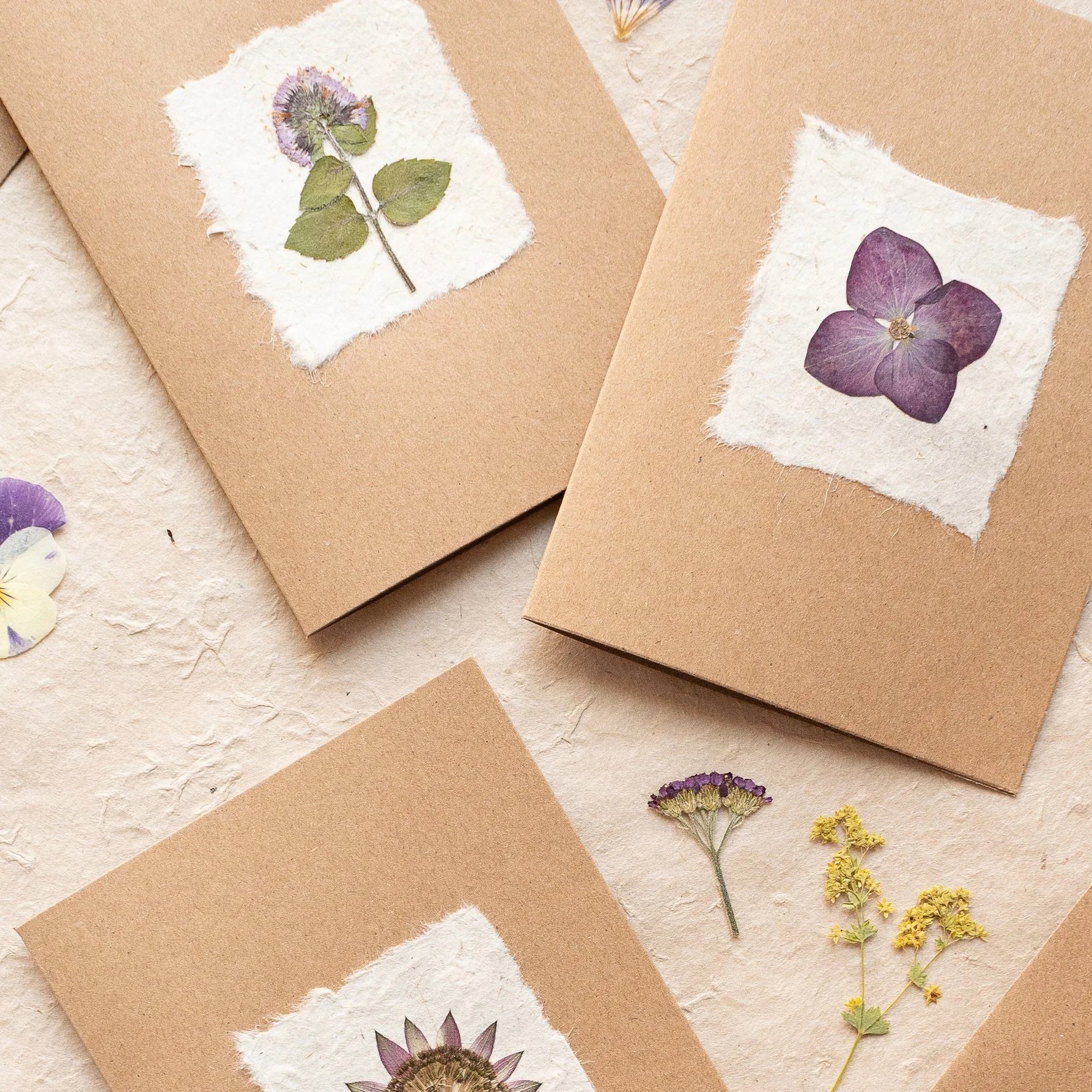 How To Make Pressed Flower Cards