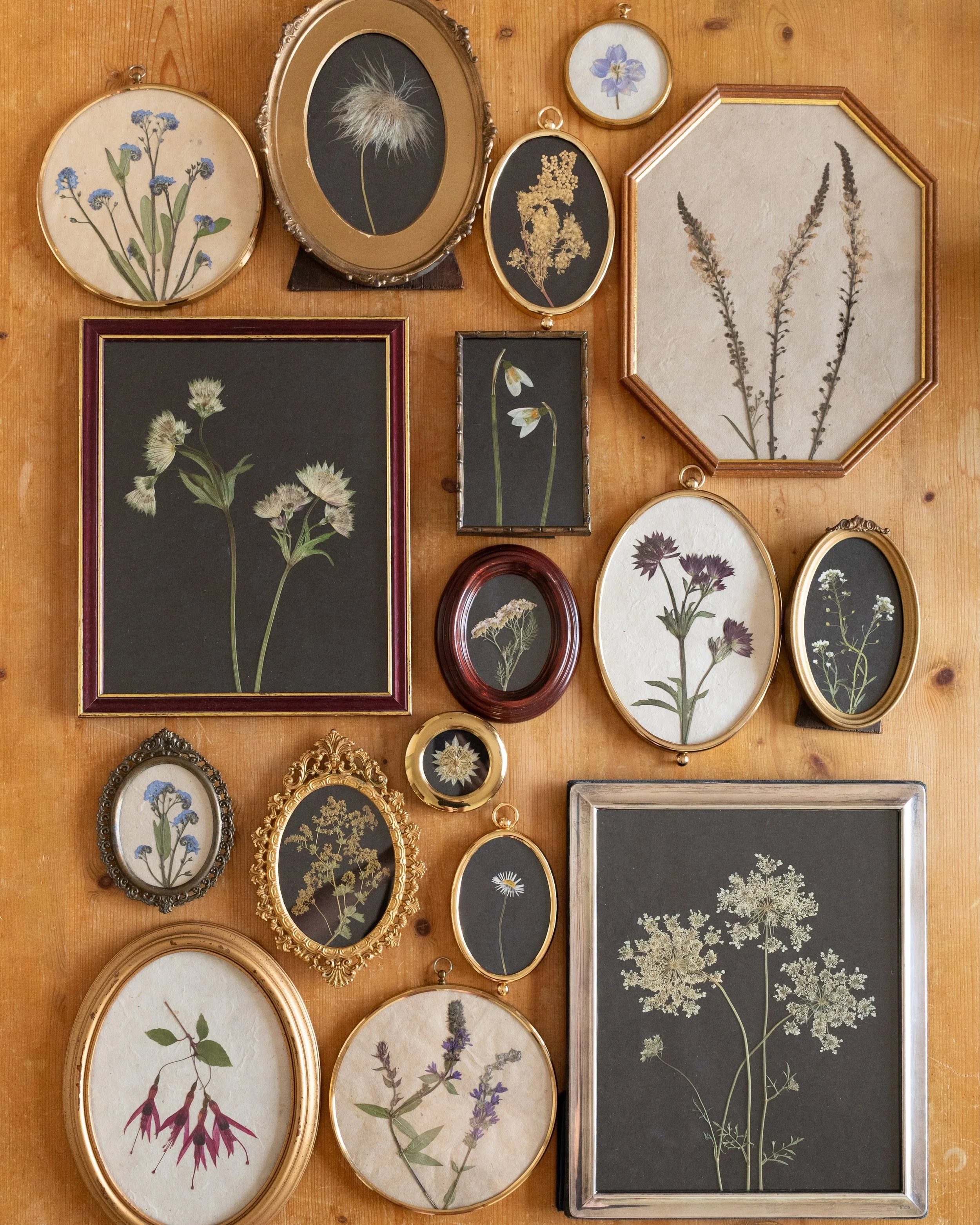 Beautiful pressed flowers, gorgeous handmade lokta paper, stunning vintage frames. A perfect combination! 🤍 You&rsquo;ll find these treasures and many more pressed flower creations on the Meadow and Thyme website.

#pressedflowers #flowerpressing