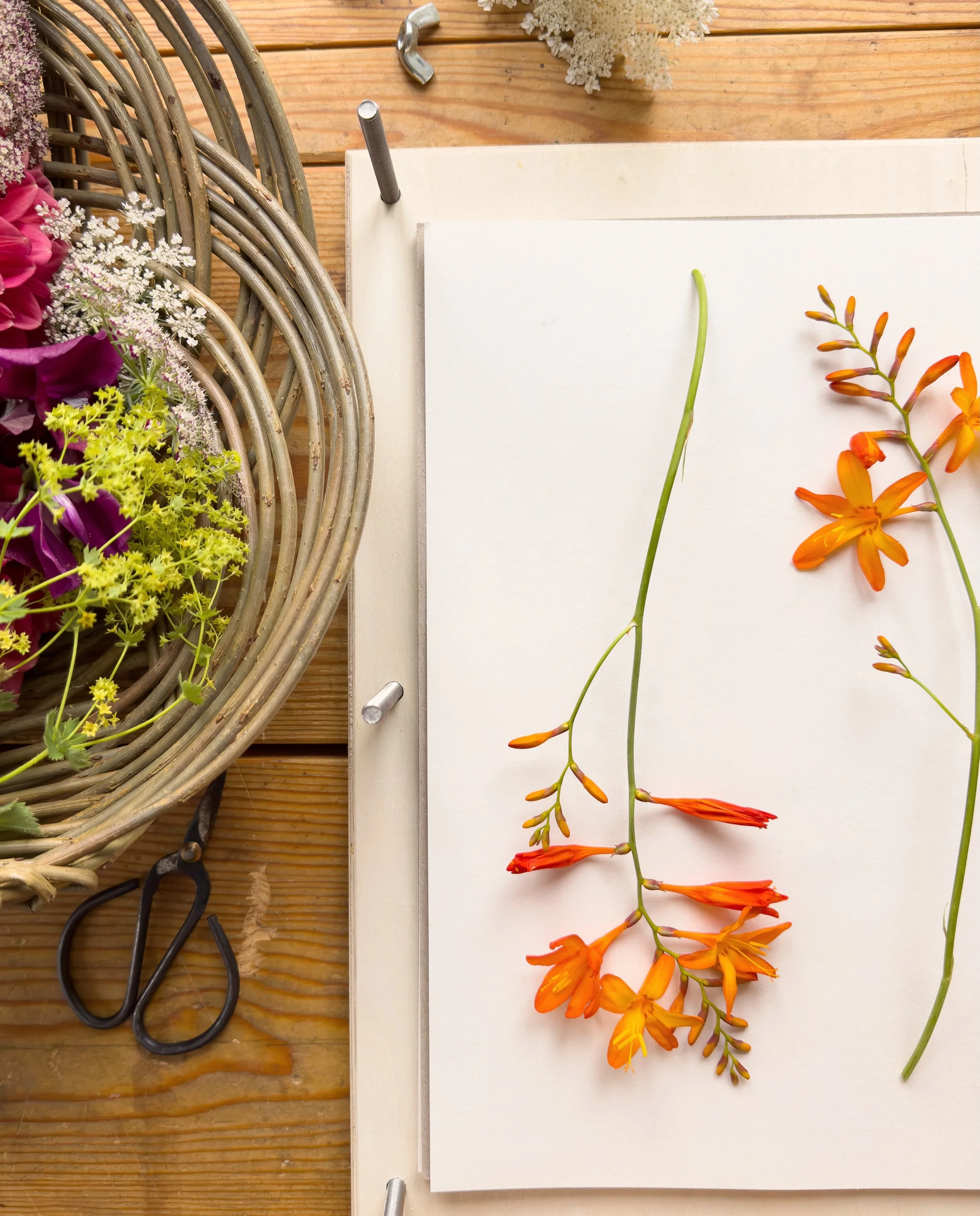 Simple pleasures. 🧡 Would you like to slow down, reconnect with nature and notice the beauty all around you? It&rsquo;s time to discover the joys of traditional flower pressing.

Learn this beautiful art under the gentle guidance of renowned pressed