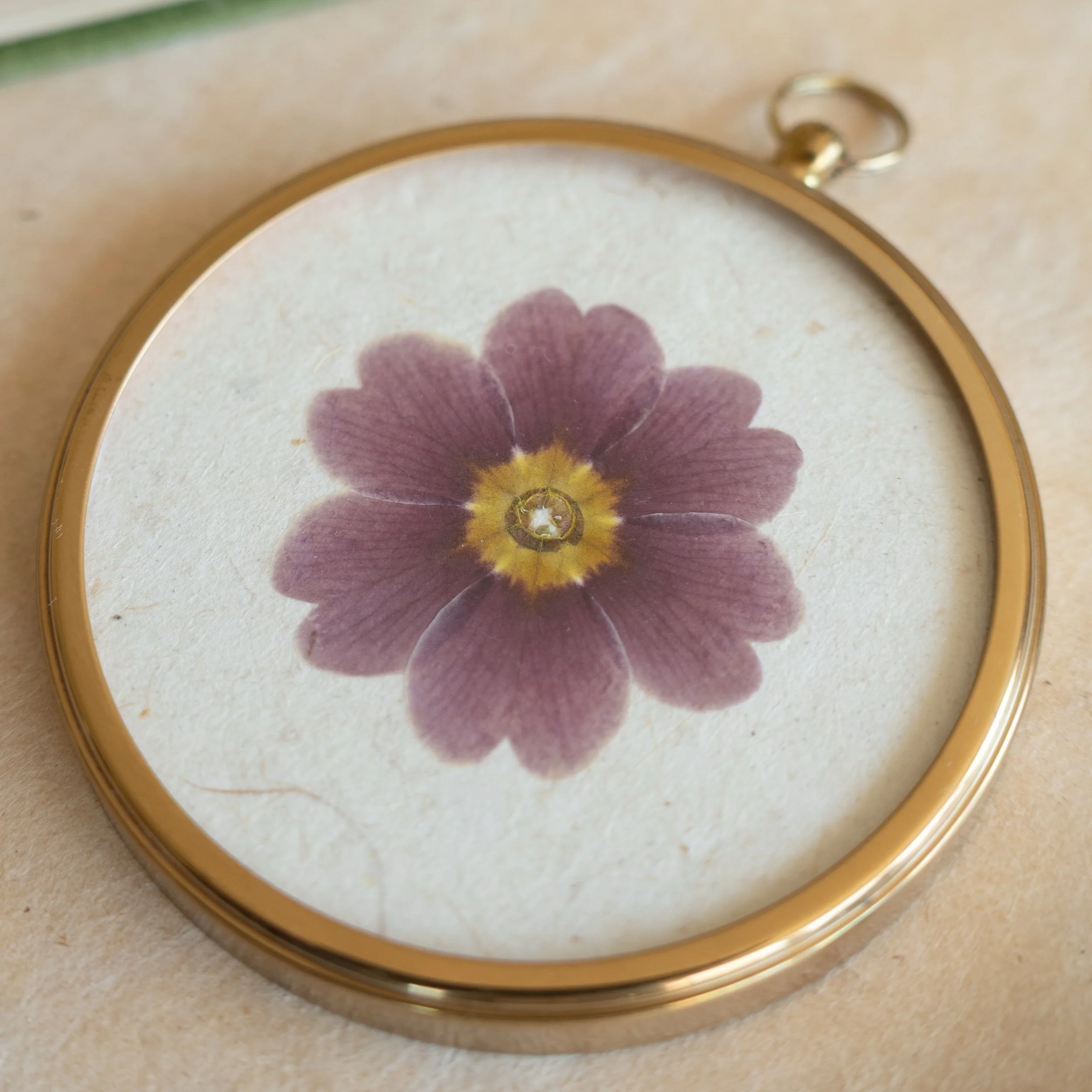 These beautiful Vintage Collection pressed flower artworks have just landed on the Meadow and Thyme website. Each piece is completely unique, created with flowers grown in my garden and traditionally pressed, mounted onto gorgeous handmade lokta pape