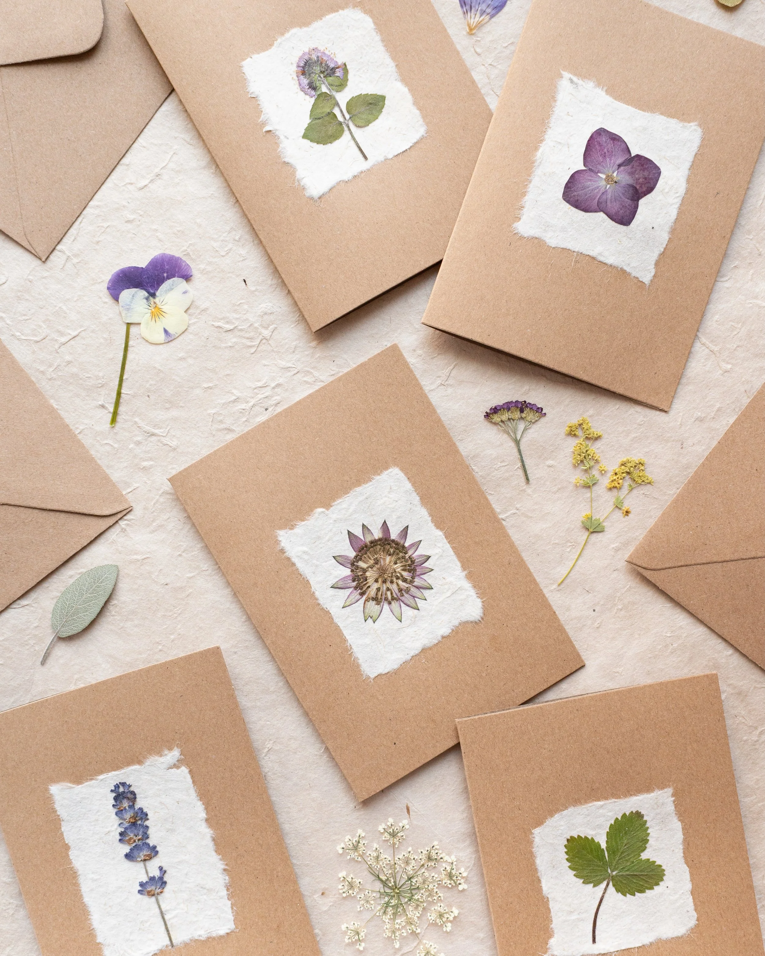 It&rsquo;s so lovely to receive a thoughtful, handmade card, and it&rsquo;s also a wonderfully mindful process to create them. You&rsquo;ll find step by step instructions for making these gorgeous pressed flower greetings cards in The Pressed Flower 