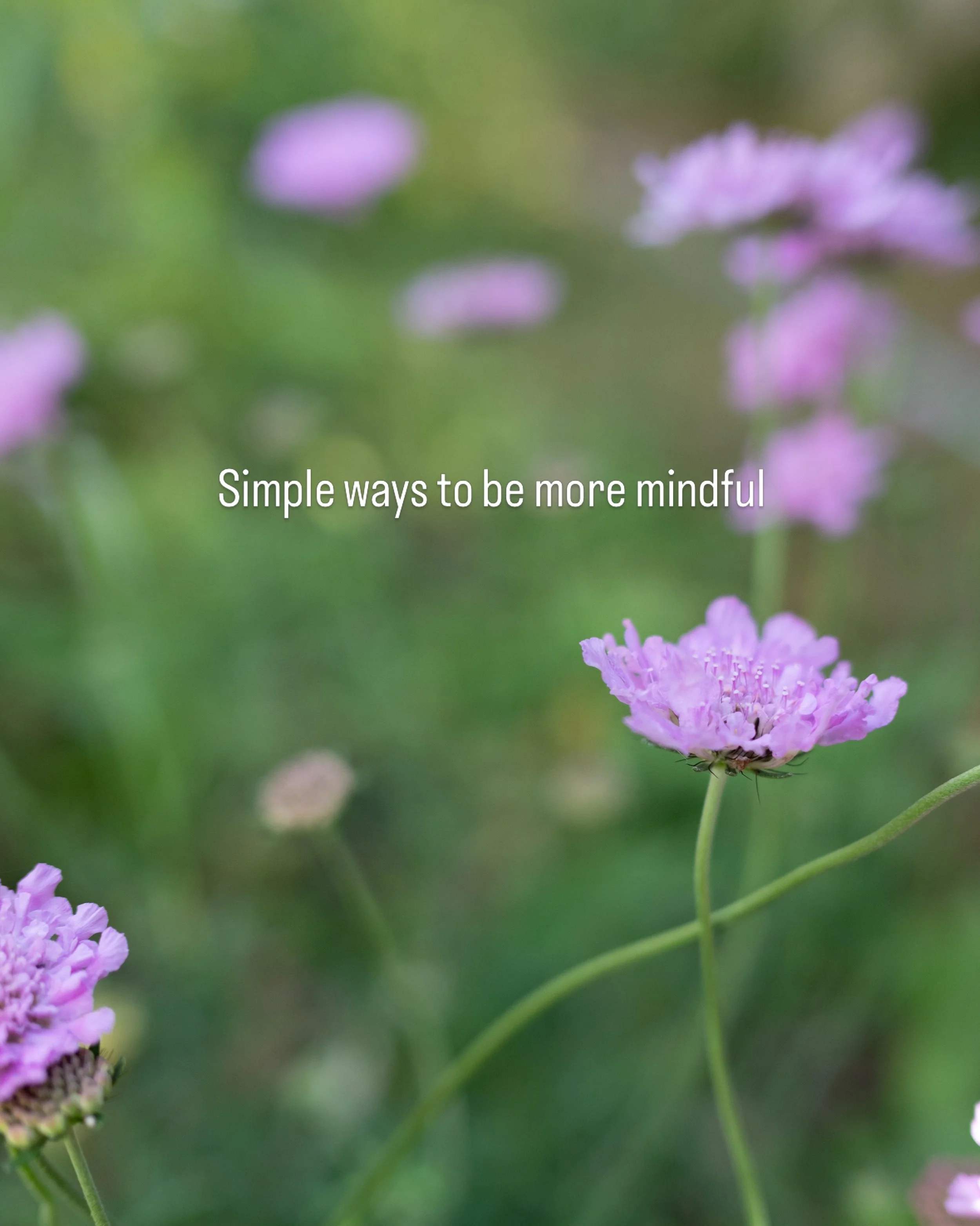 Mindfulness is so good for our wellbeing. Here are a few of my favourite ways to bring mindful moments in to each day.

Watching the clouds moving across the sky.

Looking at the rich tapestry of colours in nature.

Flicking through the pages of my f